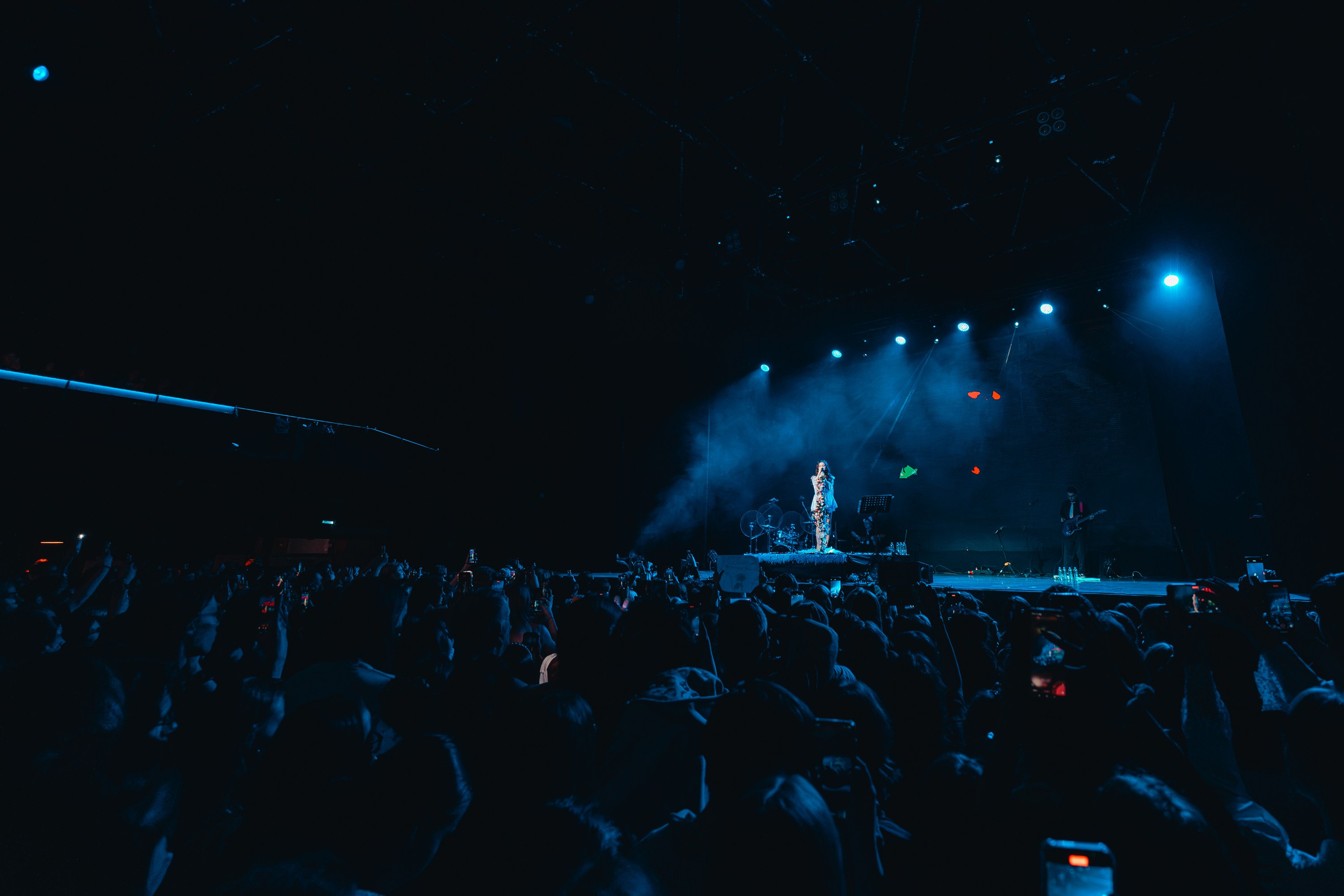 Алена Швец. Магия музыки в кадре: Концертная Фотография