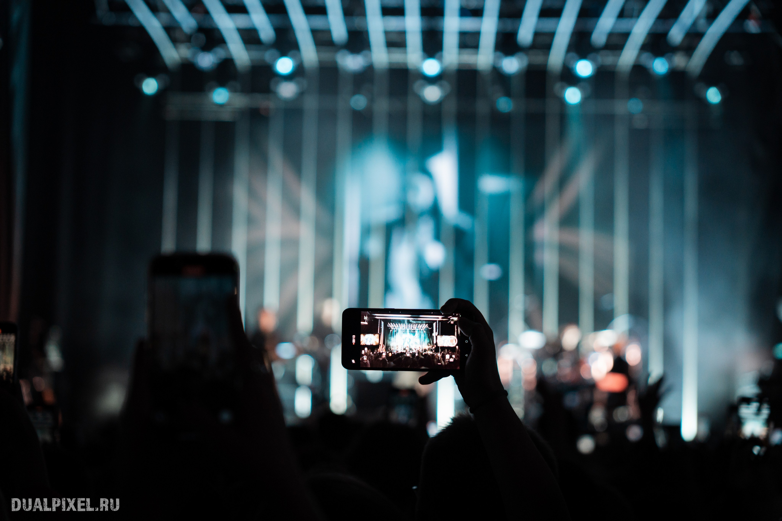 Елка. Магия музыки в кадре: Концертная Фотография