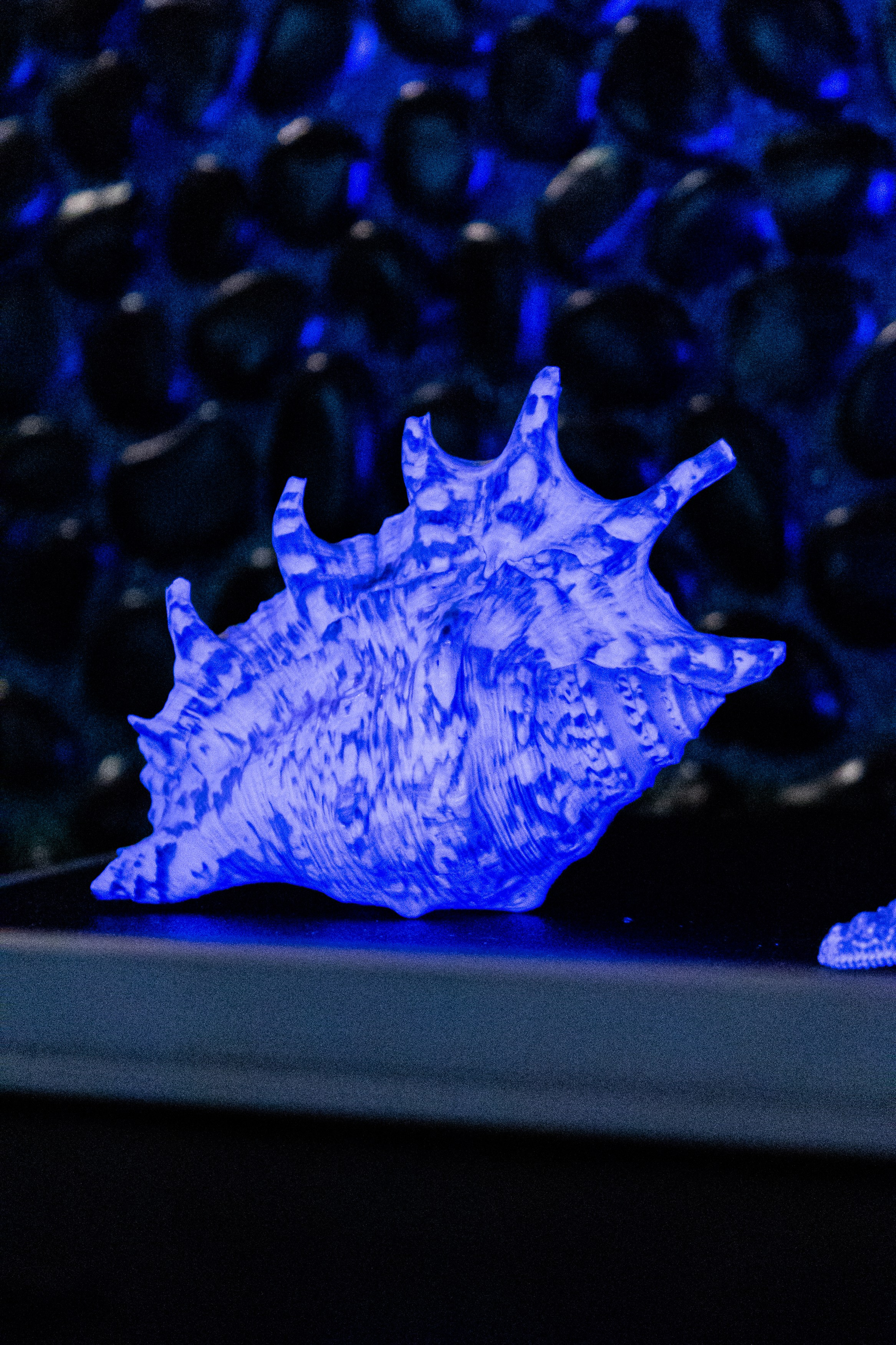 Детали. Свадебный Фотограф в Иркутске Екатерина Елисеева