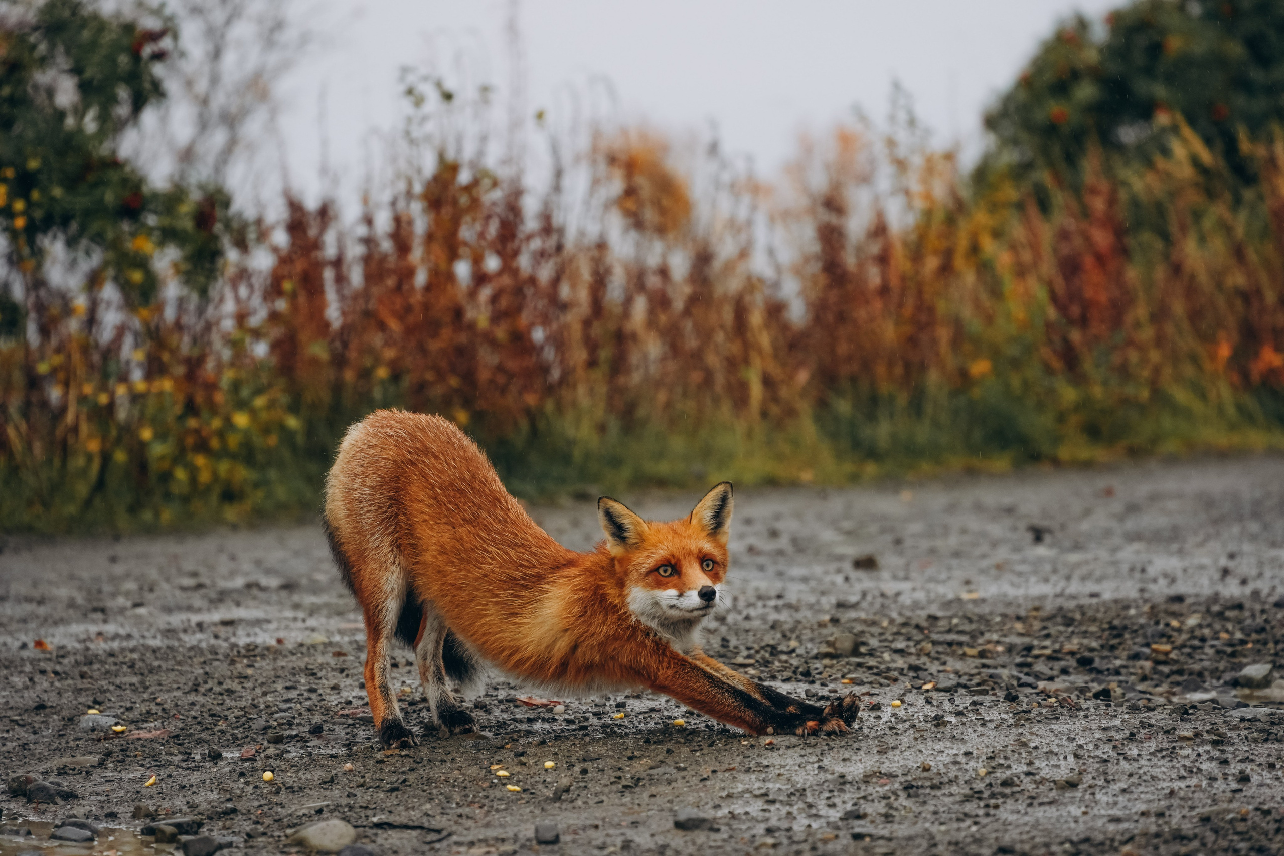 СЕВЕР. Event фотограф Степанова Александра