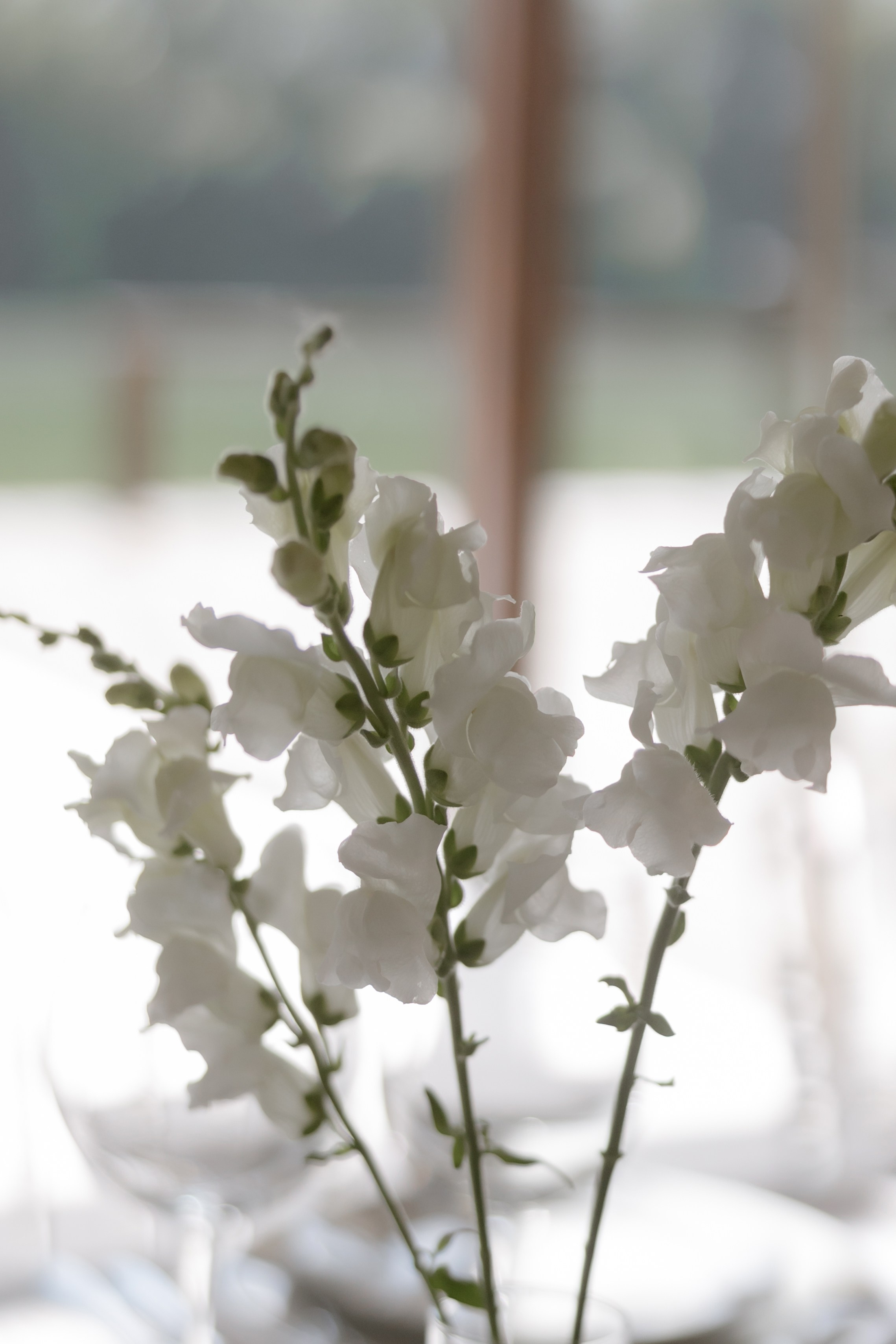 Алина & Андрей. Оформление свадеб, декор свадеб Вера Маркова, Москва