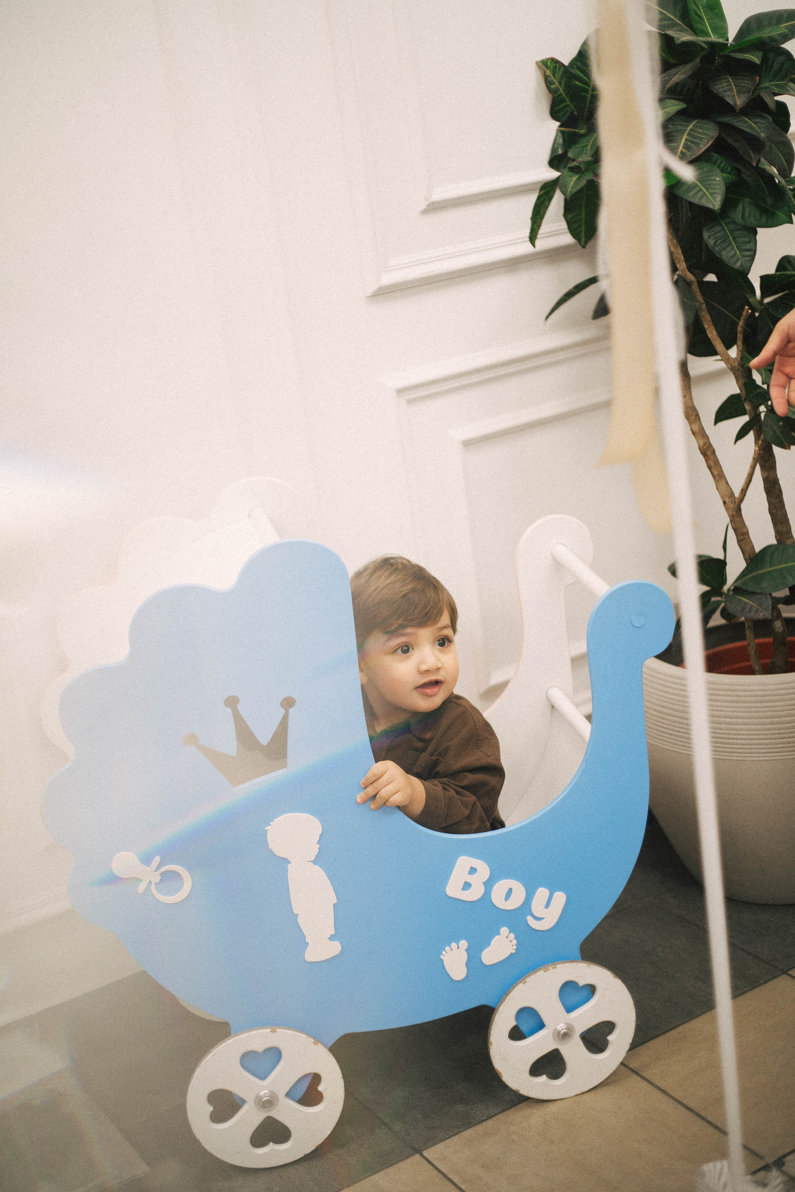 Выписка Сева, Сехран, Мурад, Имран. Семейный фотограф Юлия Котова