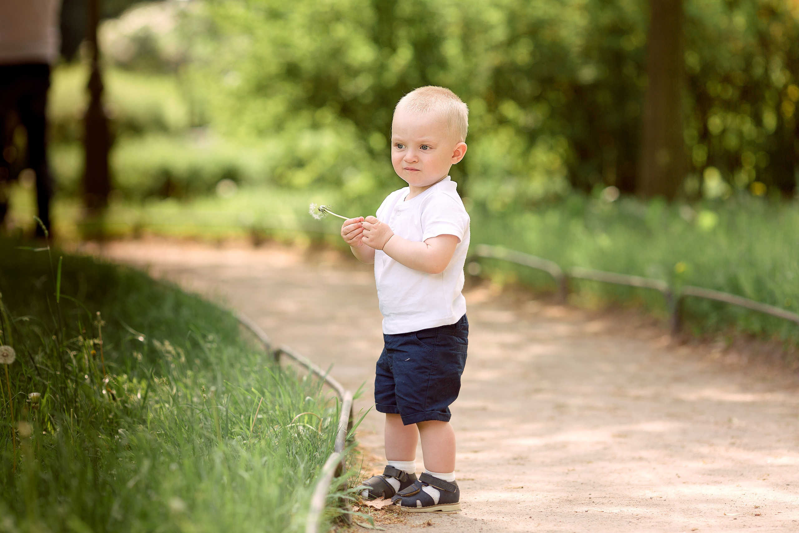 Садик им. Г. Р. Державина. Свадебный и семейный фотограф Спб Бошман Ирина