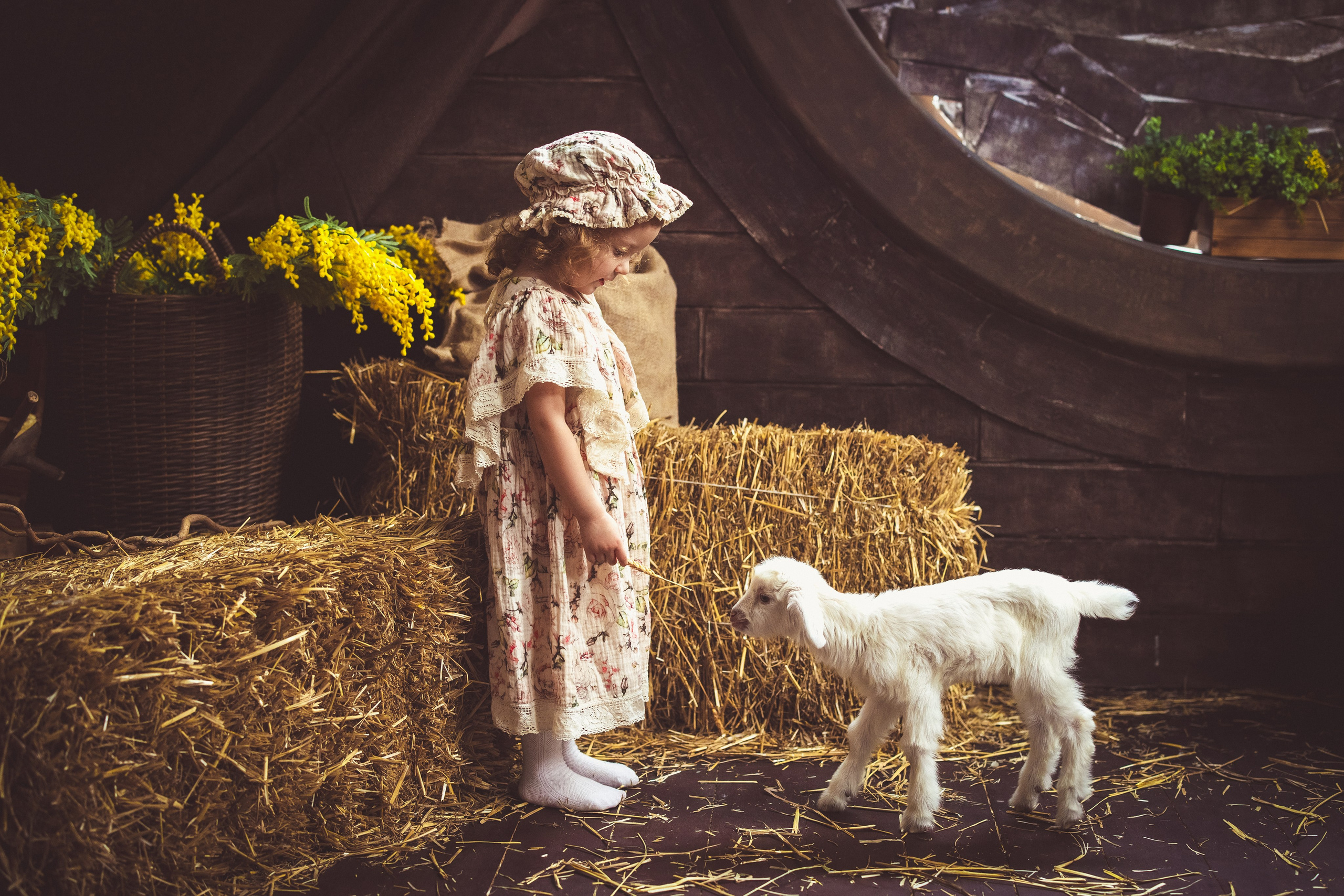 Пасхальный фотопроект с козочкой и утятами, в фотостудии «Эль» 2024 г. Семейный и детский фотограф в Краснодаре Анна Трашкова