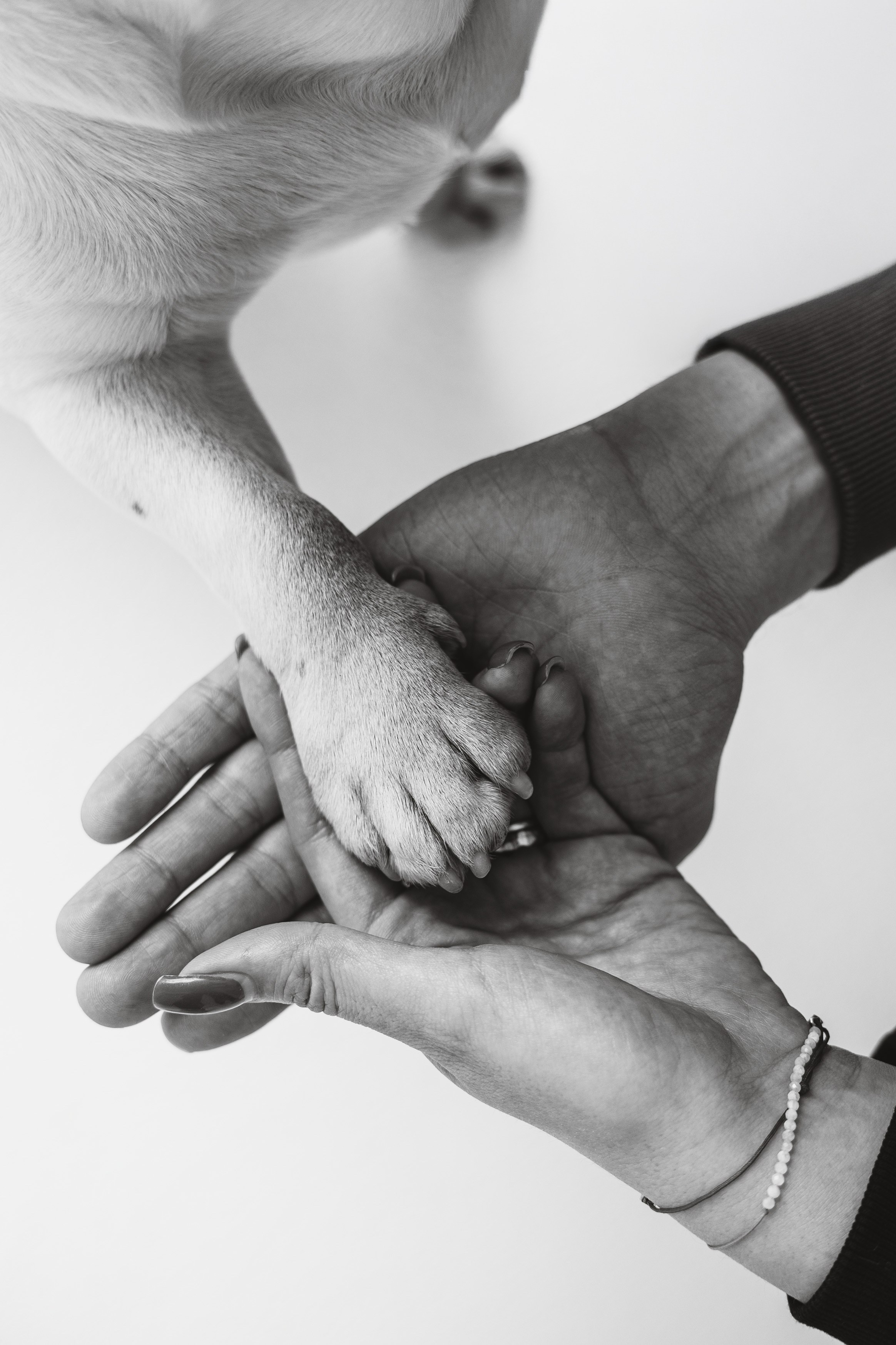 Екатерина, Виталий и Ричи