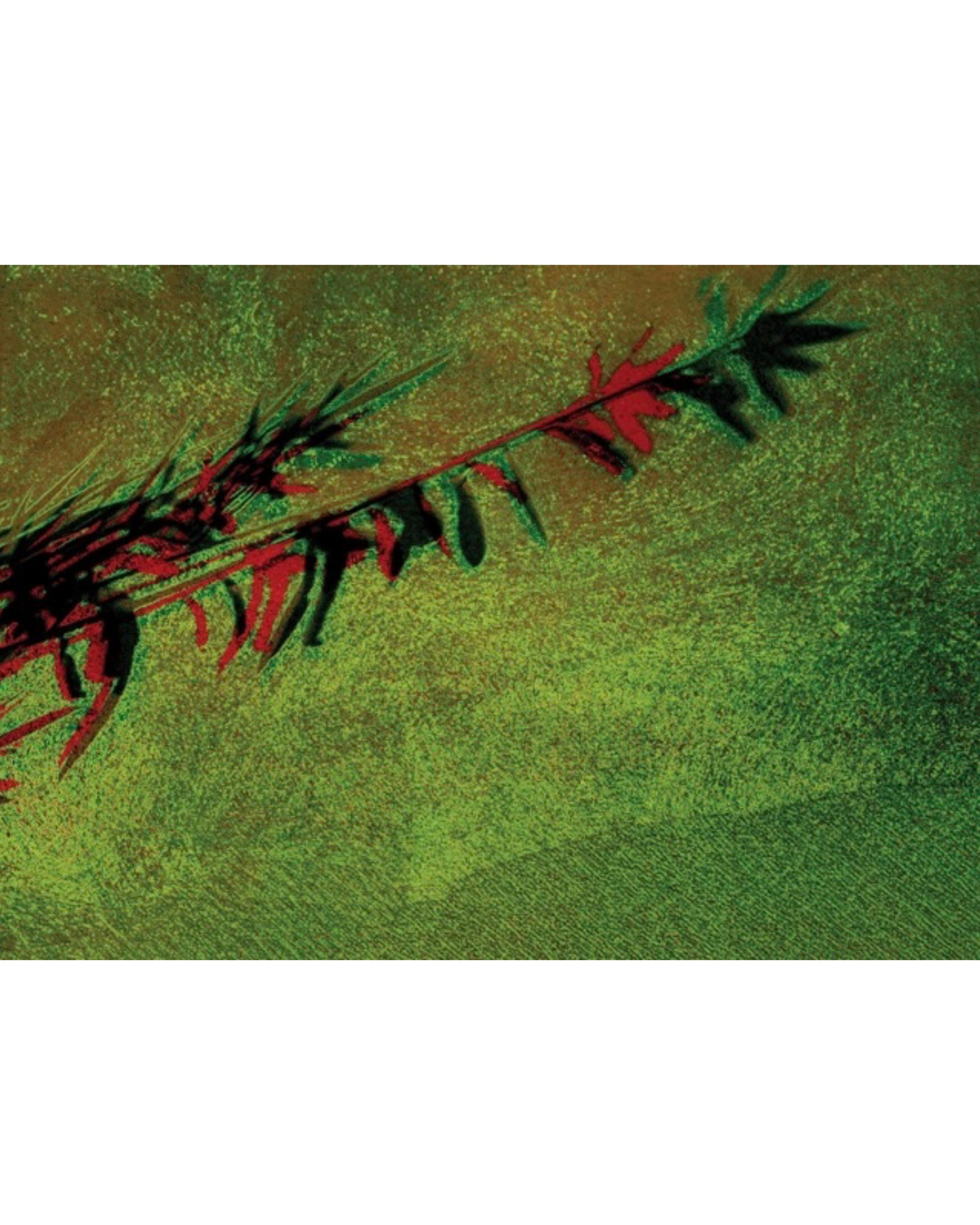 SHOP. OLGA NEFF. Artist. Visual, Music, Poetry