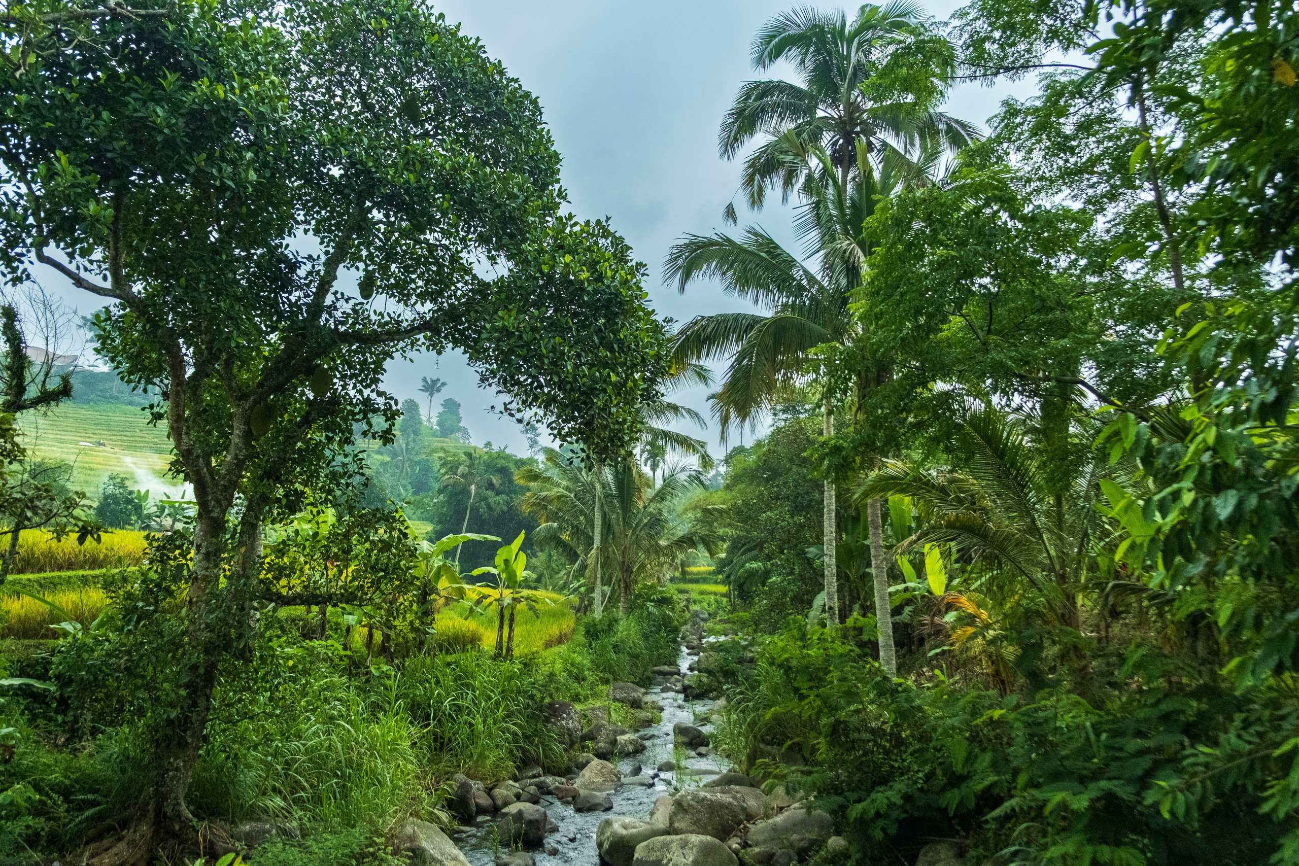 Остров Бали. Фотографии из путешествий