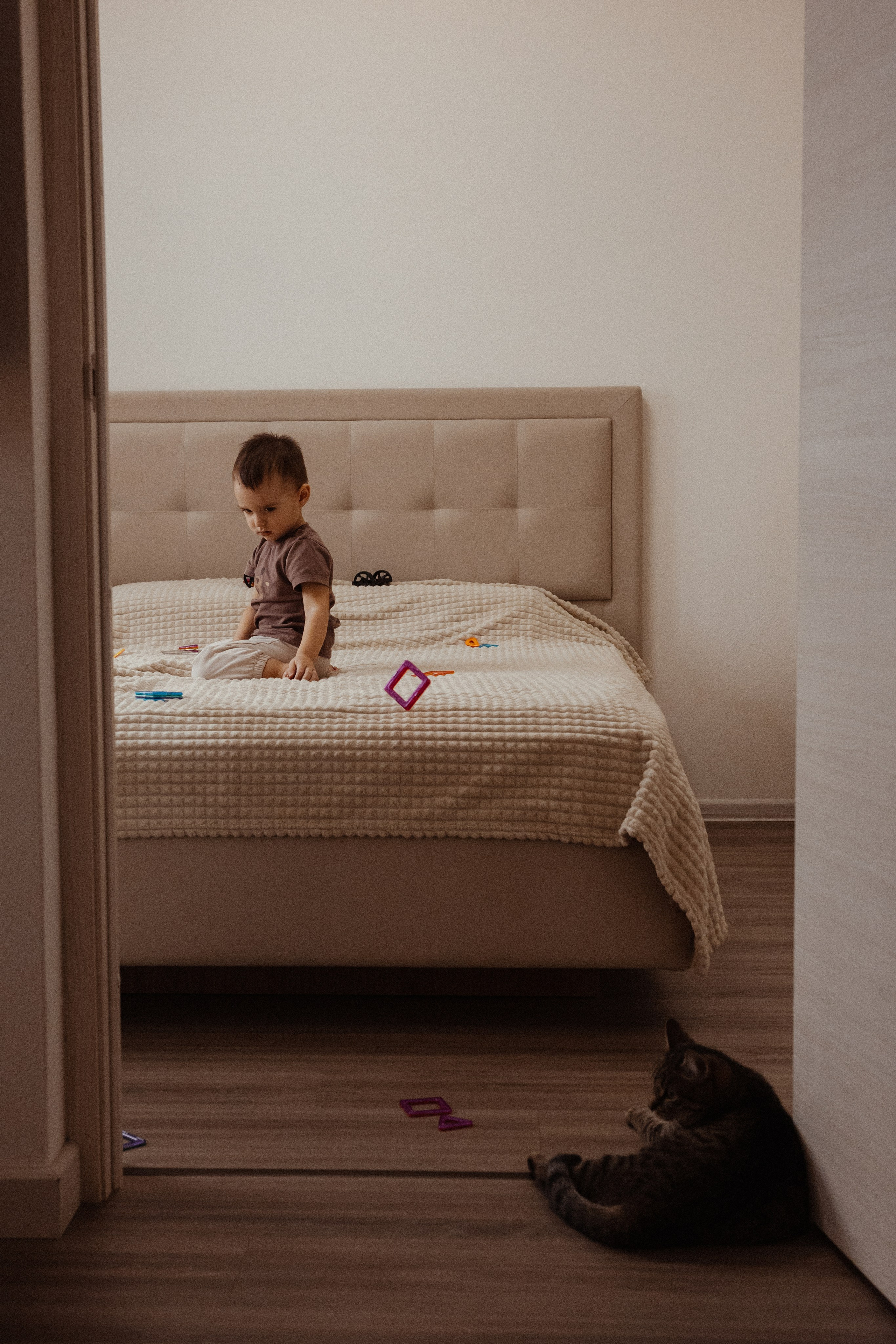 Анна и Сергей. Фотограф/видеограф в Санкт-Петербурге Динара Гольдина