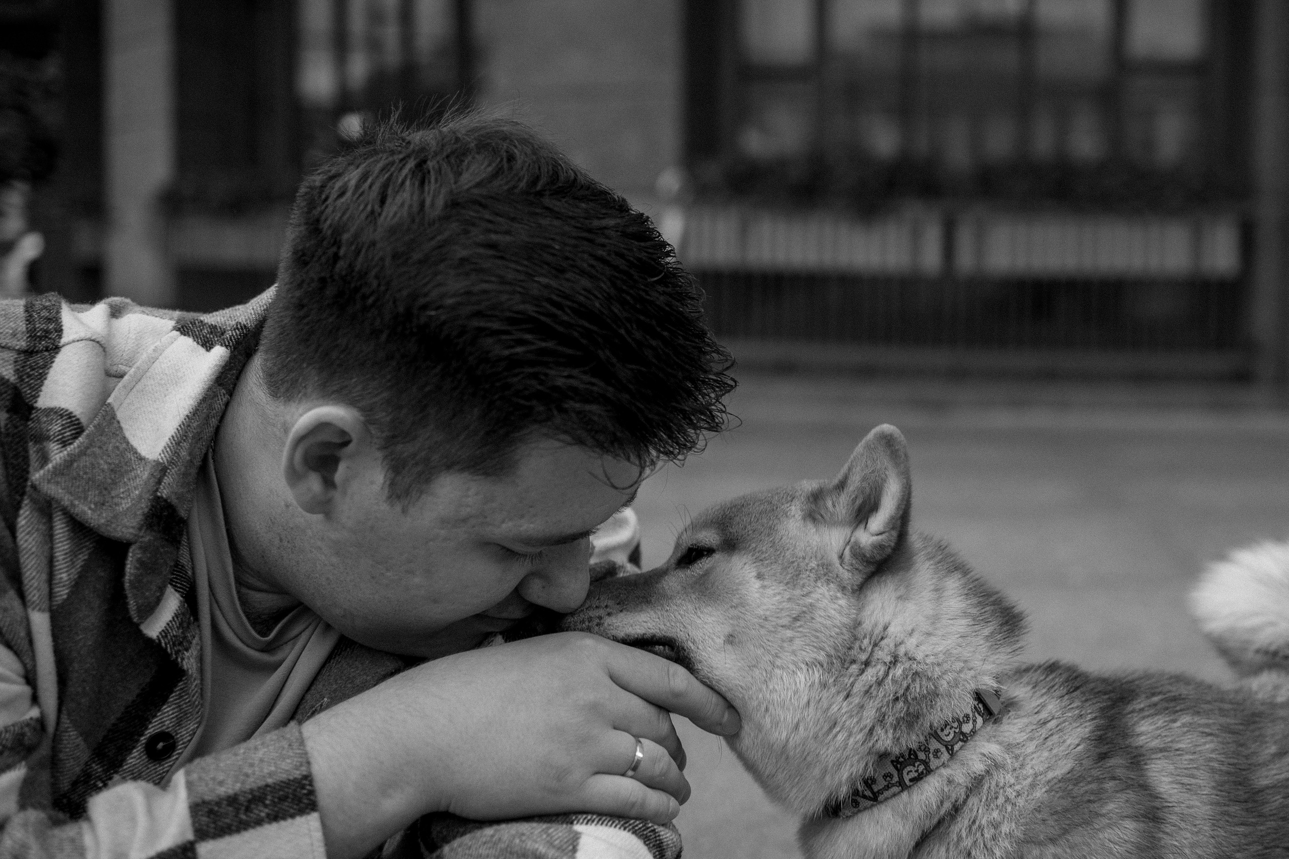 Сириус и его семья. Фотограф — Анималист | Санкт-Петербург