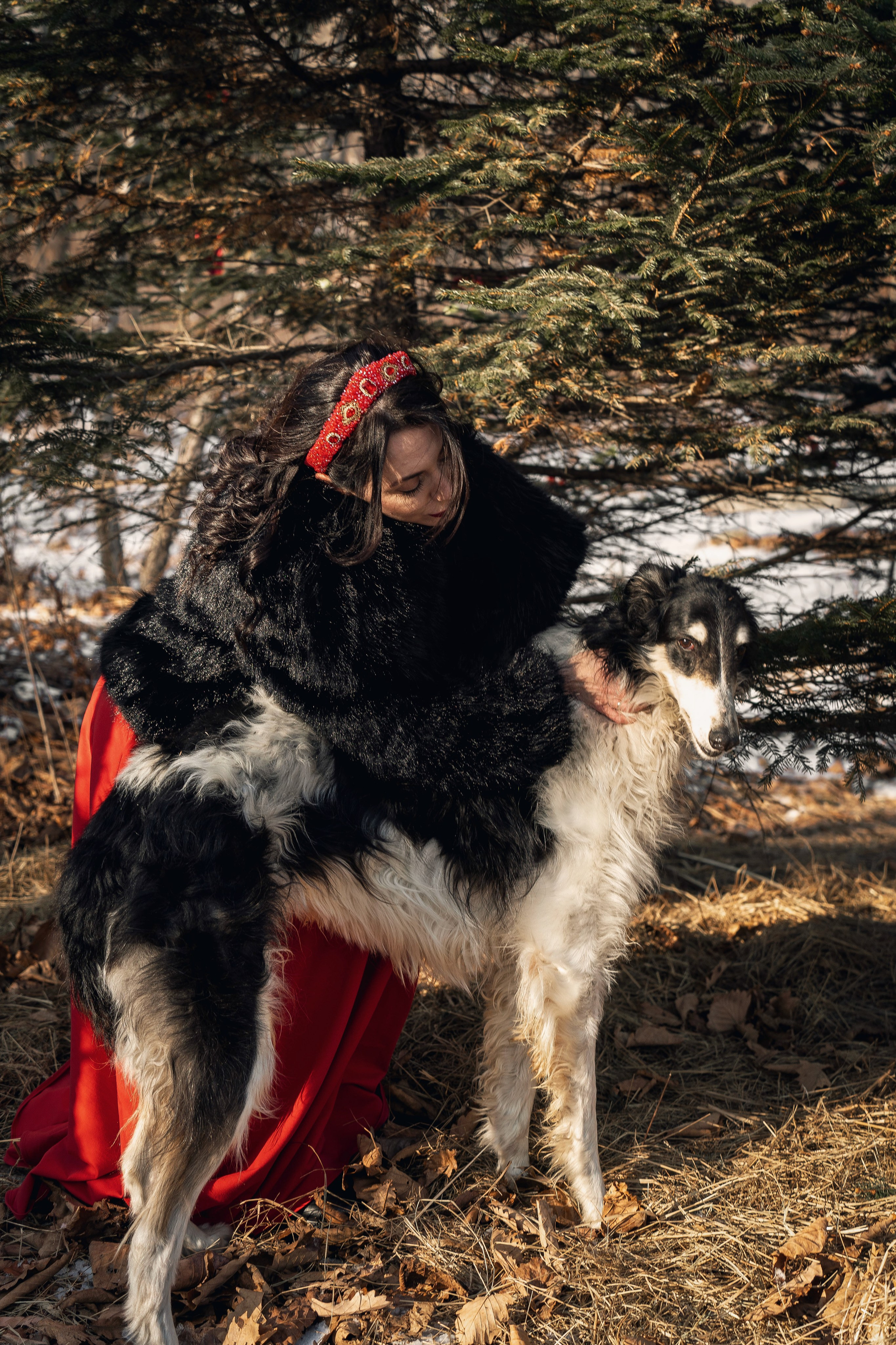 Фотодень «Символ 2026 года». Семейный фотограф анималист г. Находка