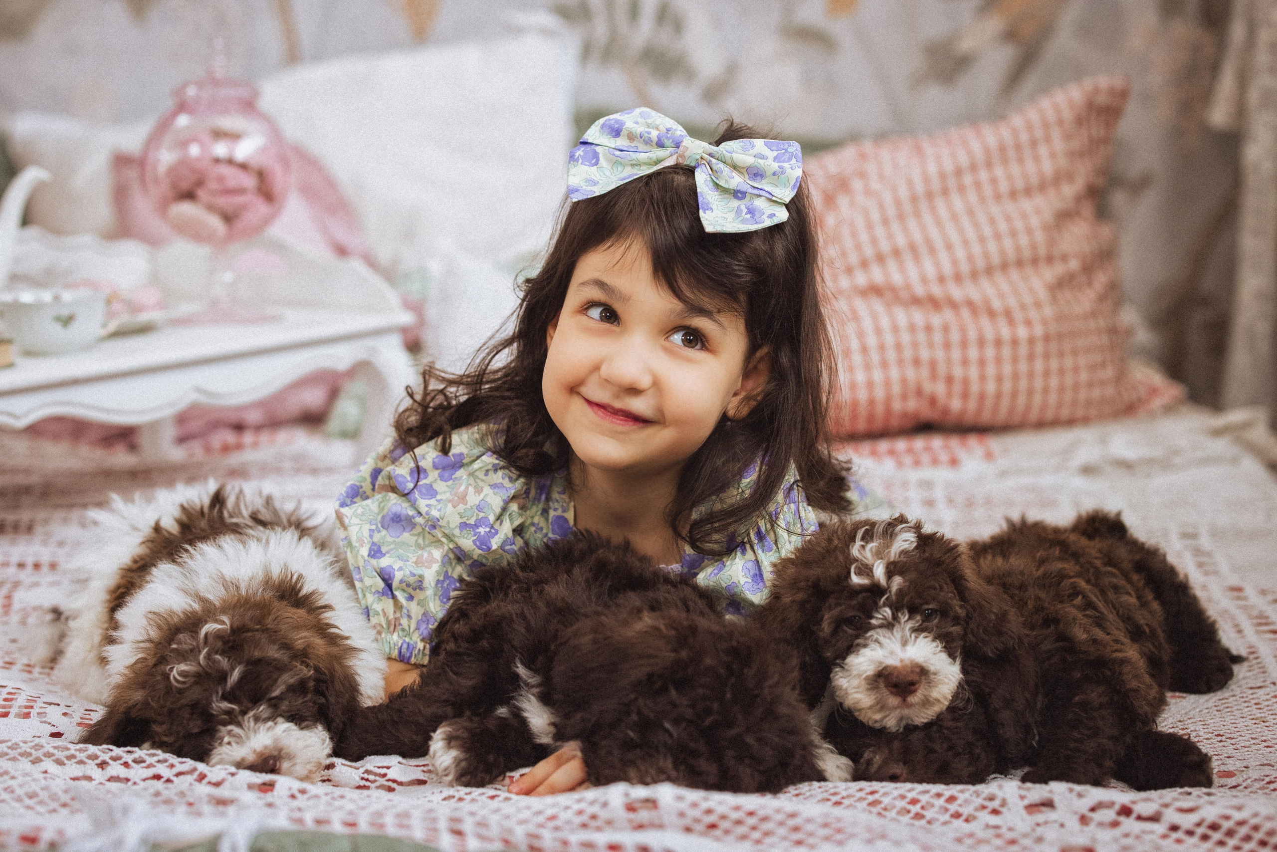 Фотосессия с щенками Лаго́тто-романьо́ло, в Винтажной фотостудии город Краснодар. Семейный и детский фотограф в Краснодаре Анна Трашкова