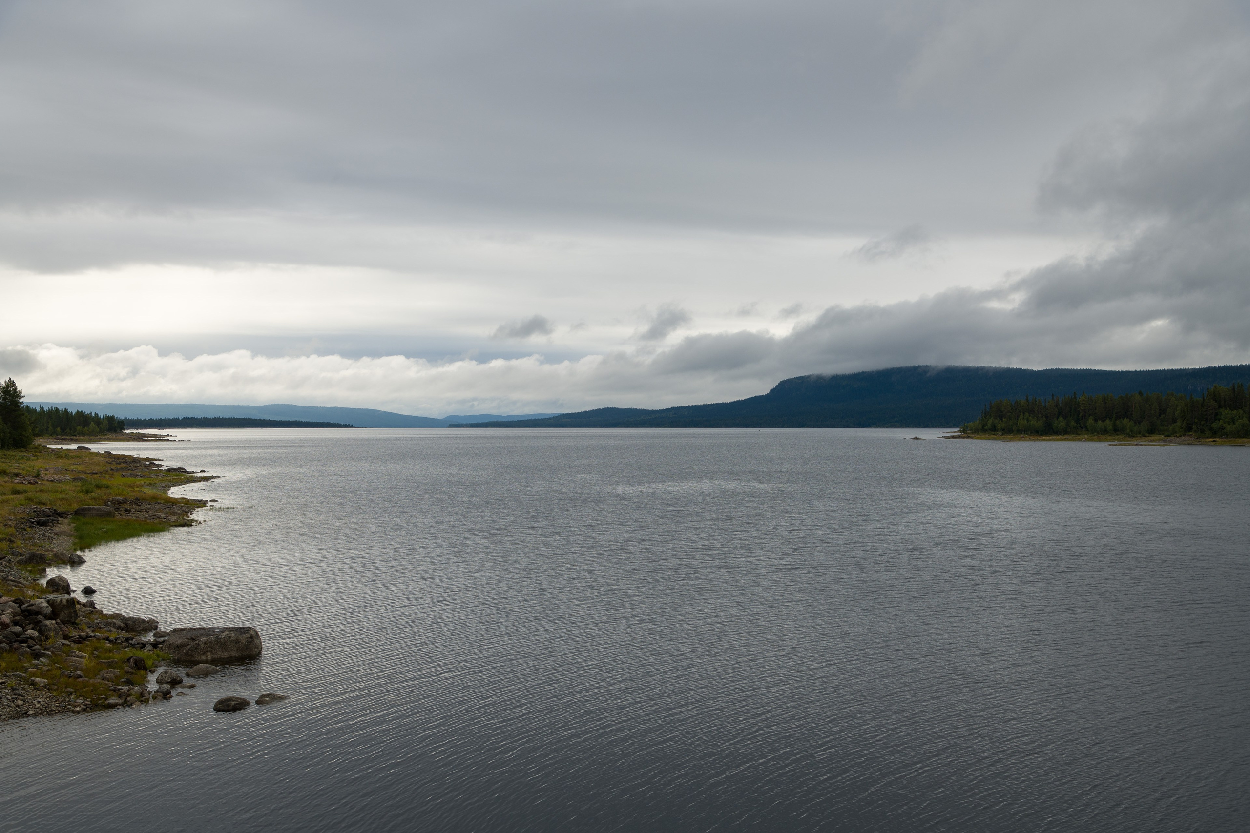 Шведская Тайга. Северные Ночи