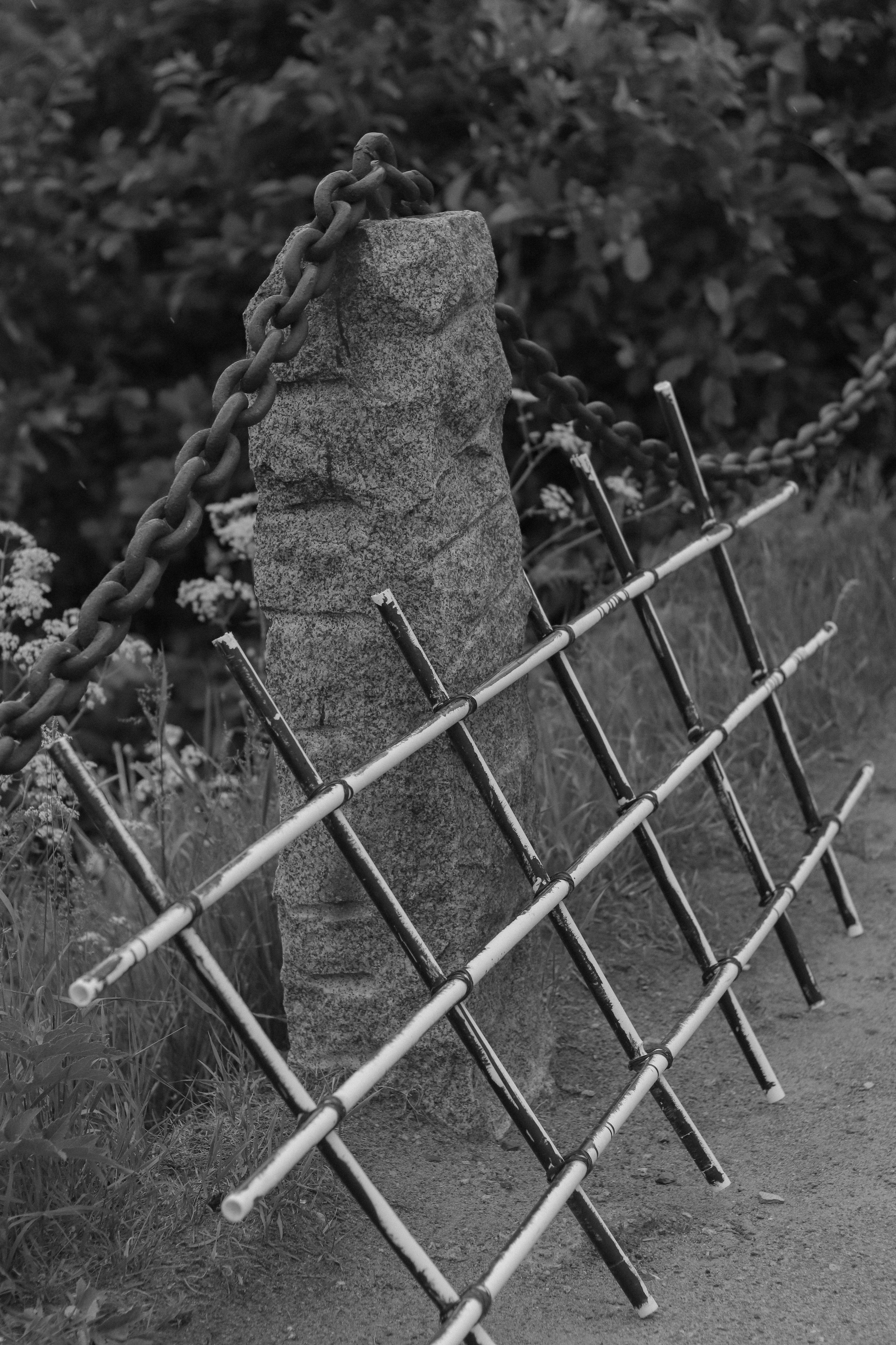 Contour. Фотограф и исследователь фотографии из Санкт-Петербурга Елизавета Веприцкая