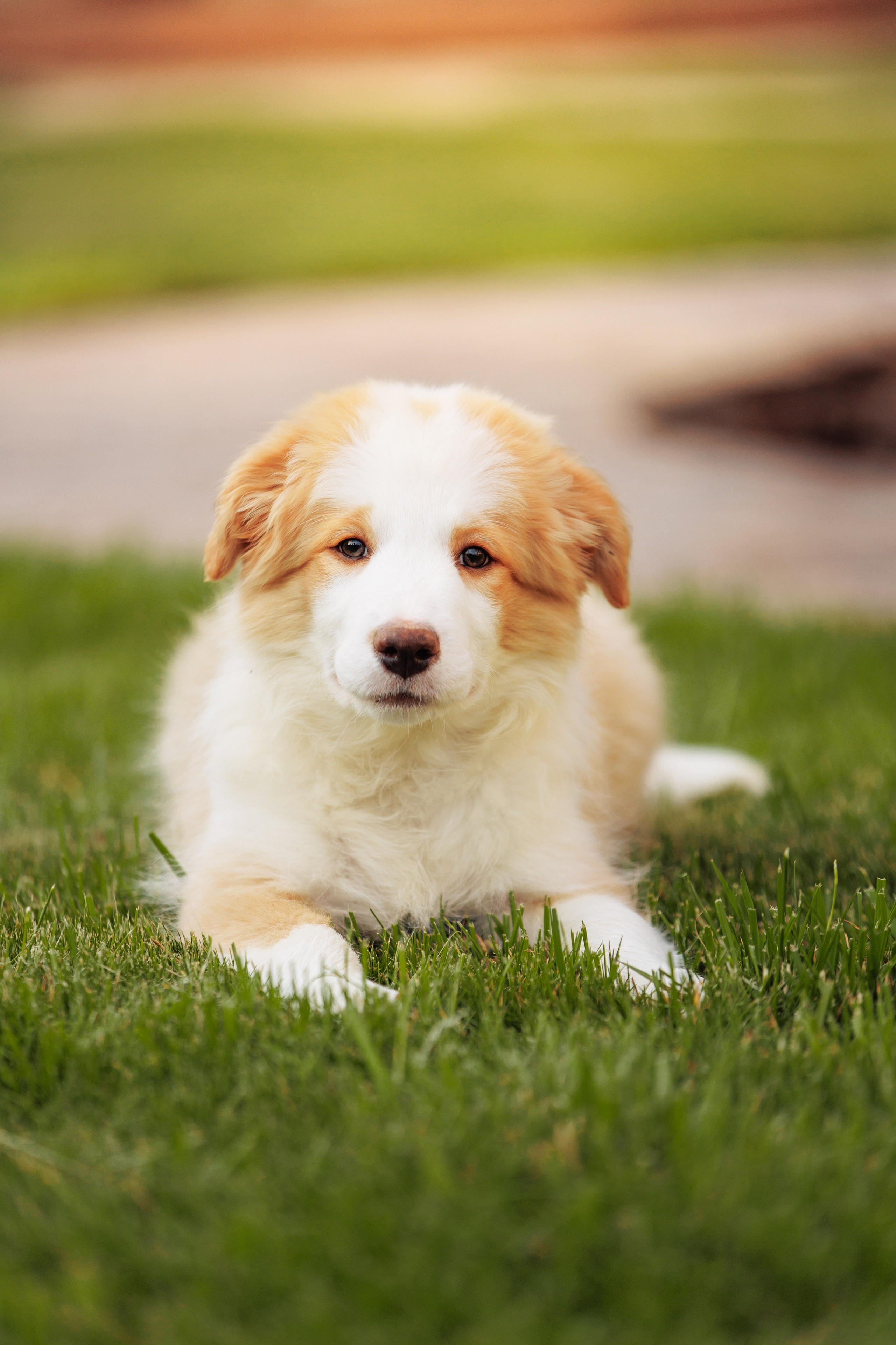 СОлнечные. О нас