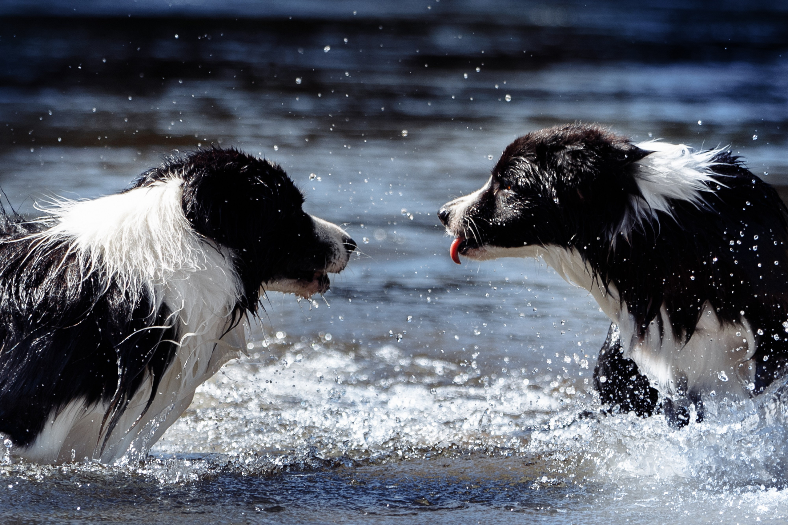 Водяные в Новотроицке. О нас