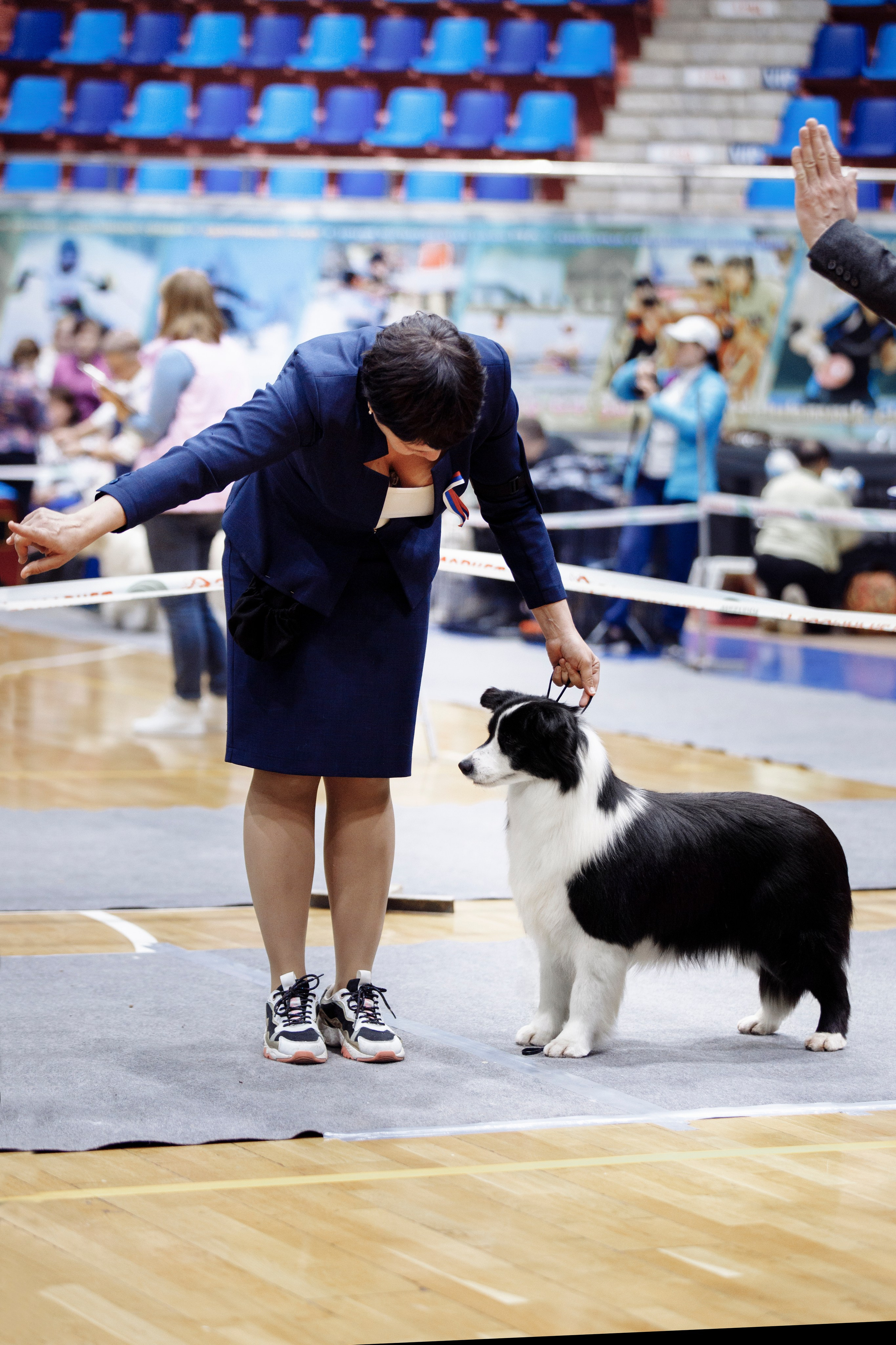 Магнитка 22. О нас