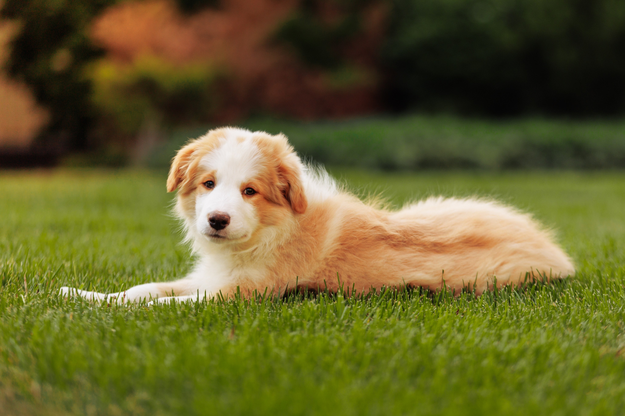 СОлнечные. О нас