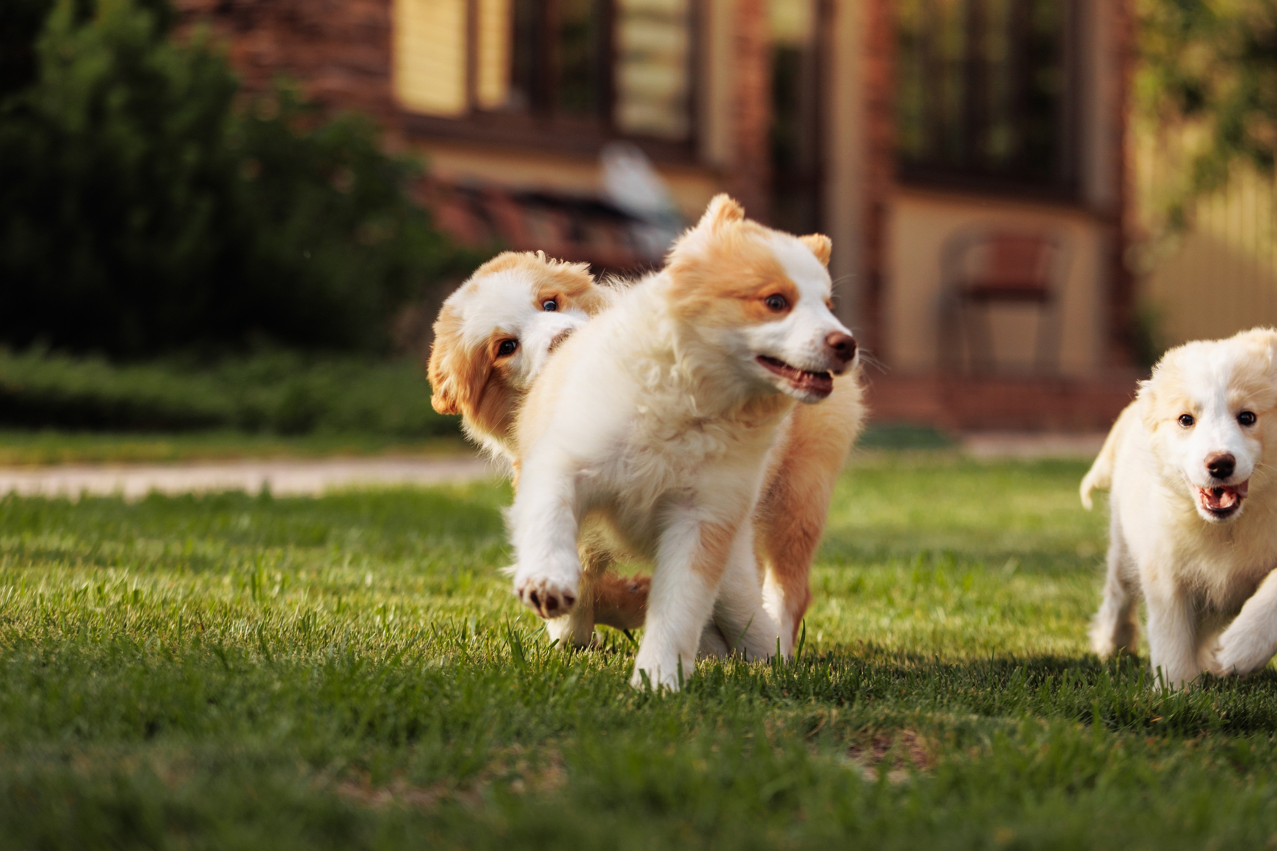 СОлнечные. О нас