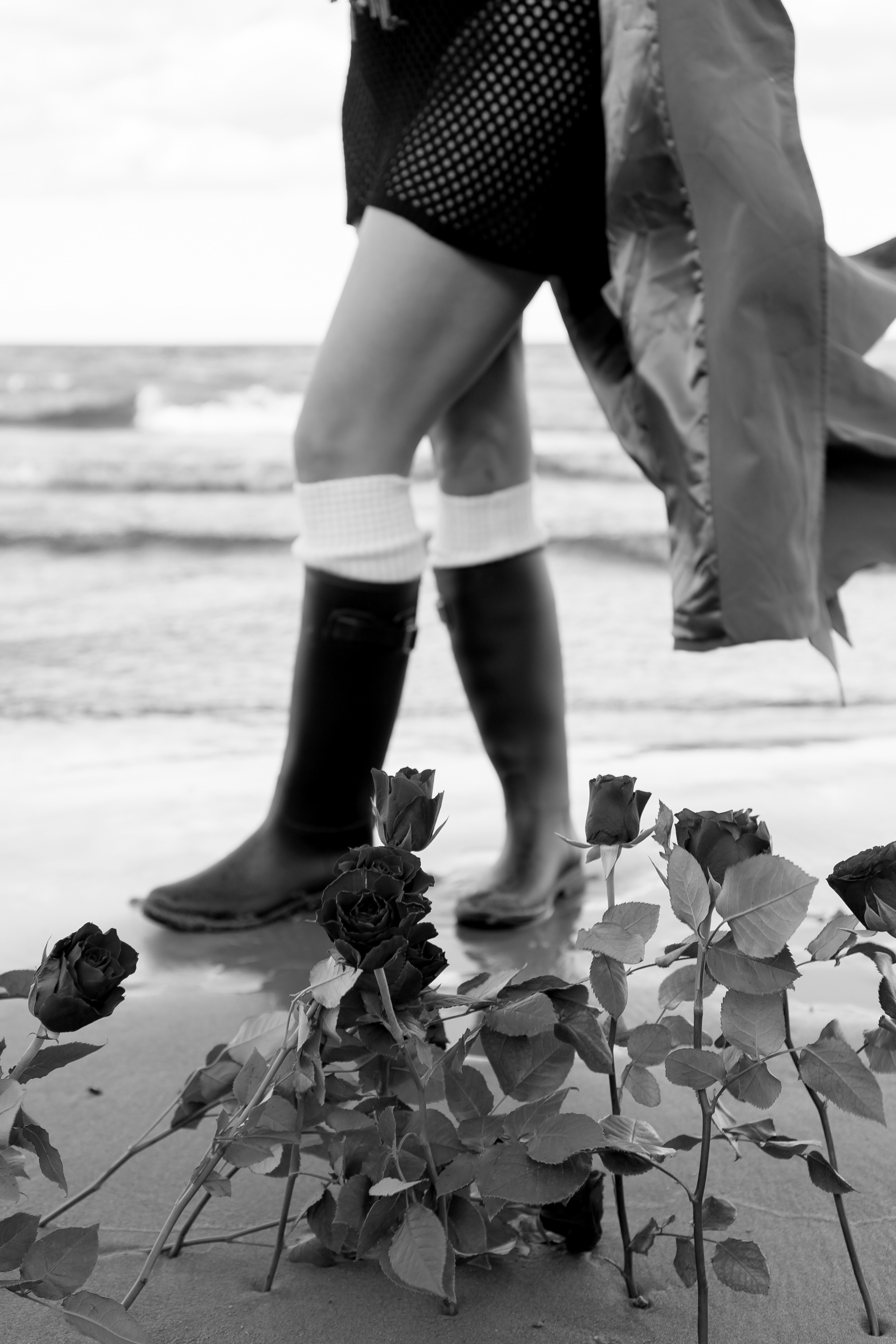 Розы. Профессиональный фотограф, Санкт-Петербург — Виктория Богомолова