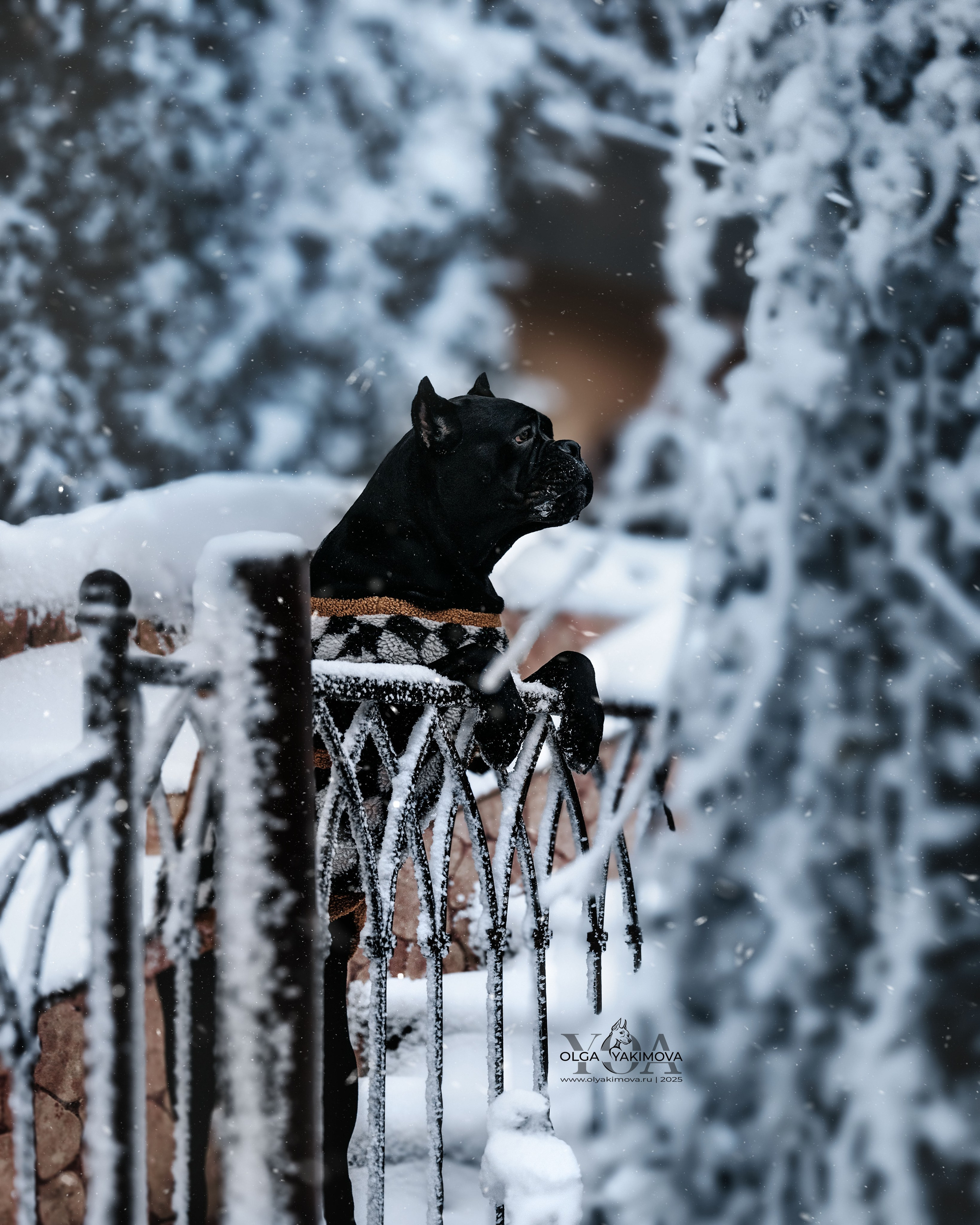 МАРИНА И САРА. Фотограф