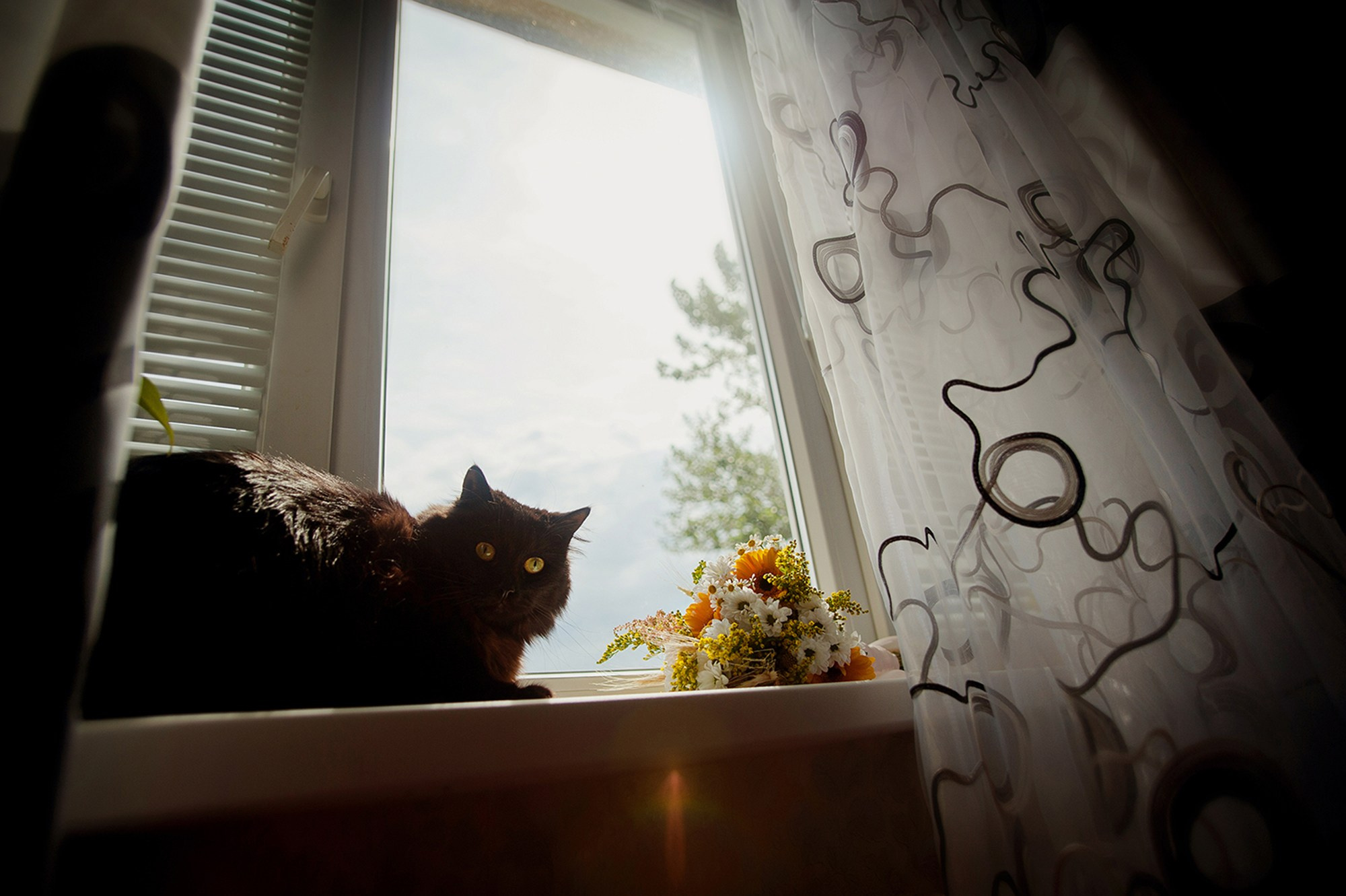 Королева Елена Свадебный и семейный фотограф в Туле