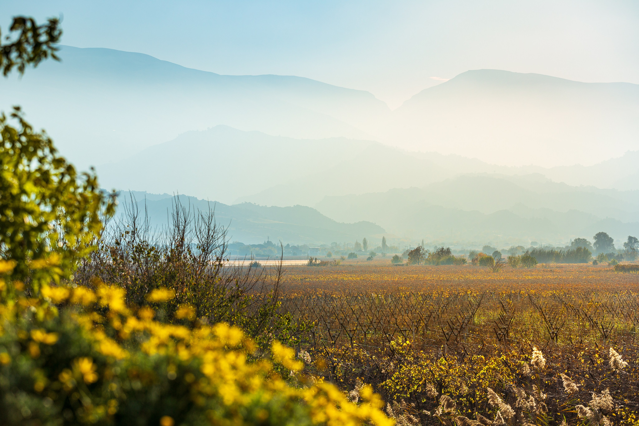 Рекламный, предметный, репортажный, семейный фотограф и художник в Москве