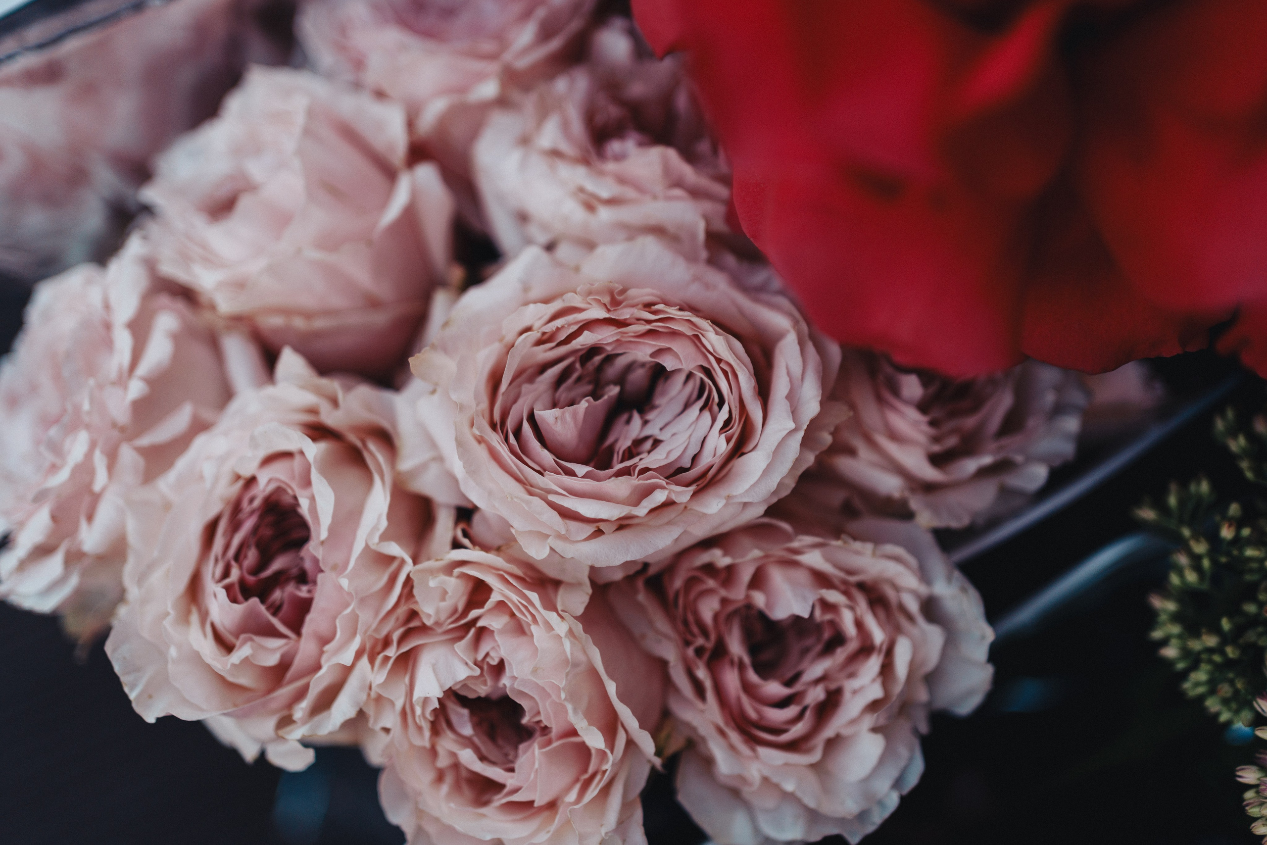 Выставка на крыше Парка Горького. Семейный и детский фотограф и видеограф в Москве, Серпухове и Тарусе Валерия Сорокина