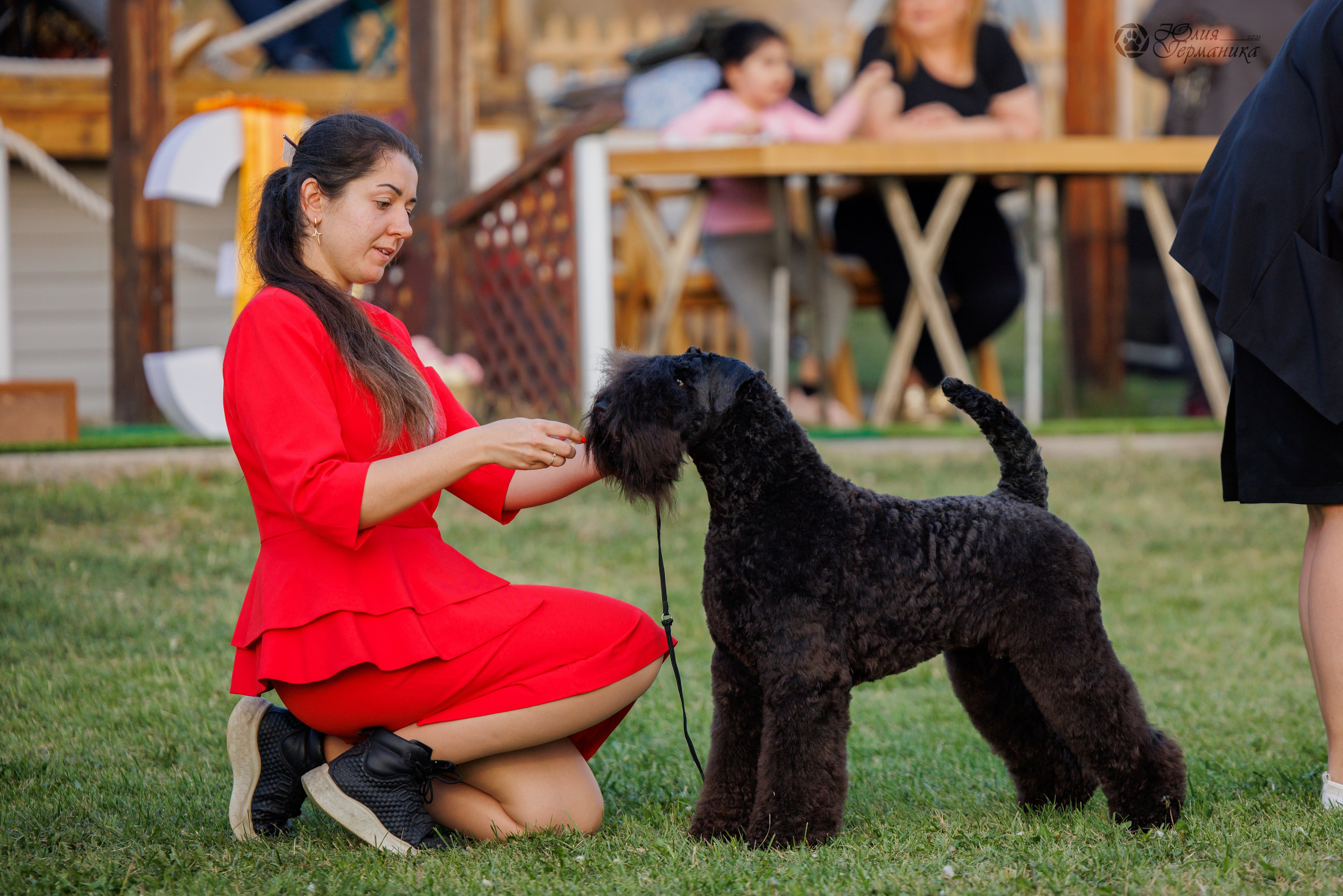 Армения,Ереван 3хCACIB 15-17.10.2024. Фотограф-анималист Юлия Германика