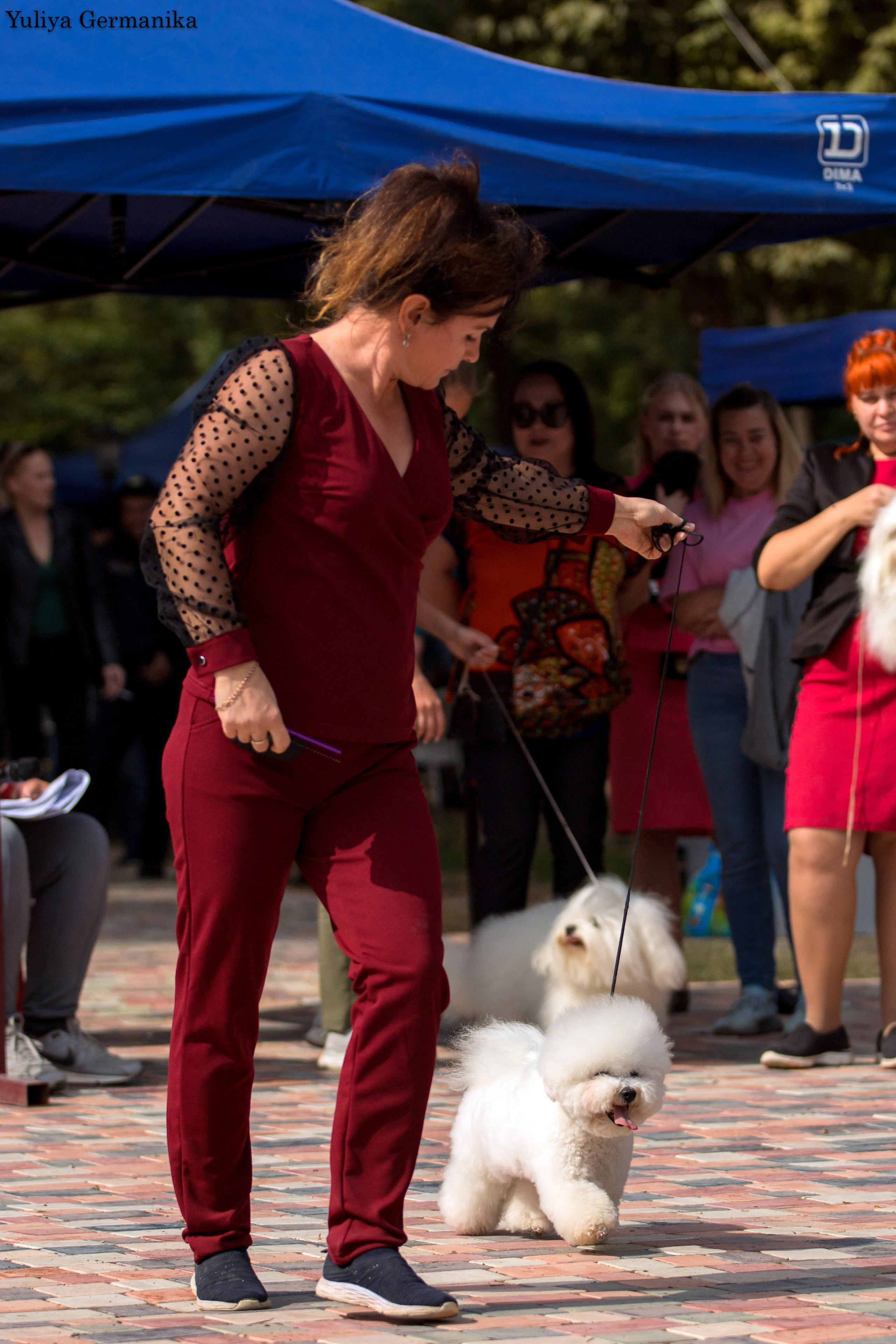 Ташкент 6-8.10.2023 + Алматы 14-15.10.2023. Фотограф-анималист Юлия Германика