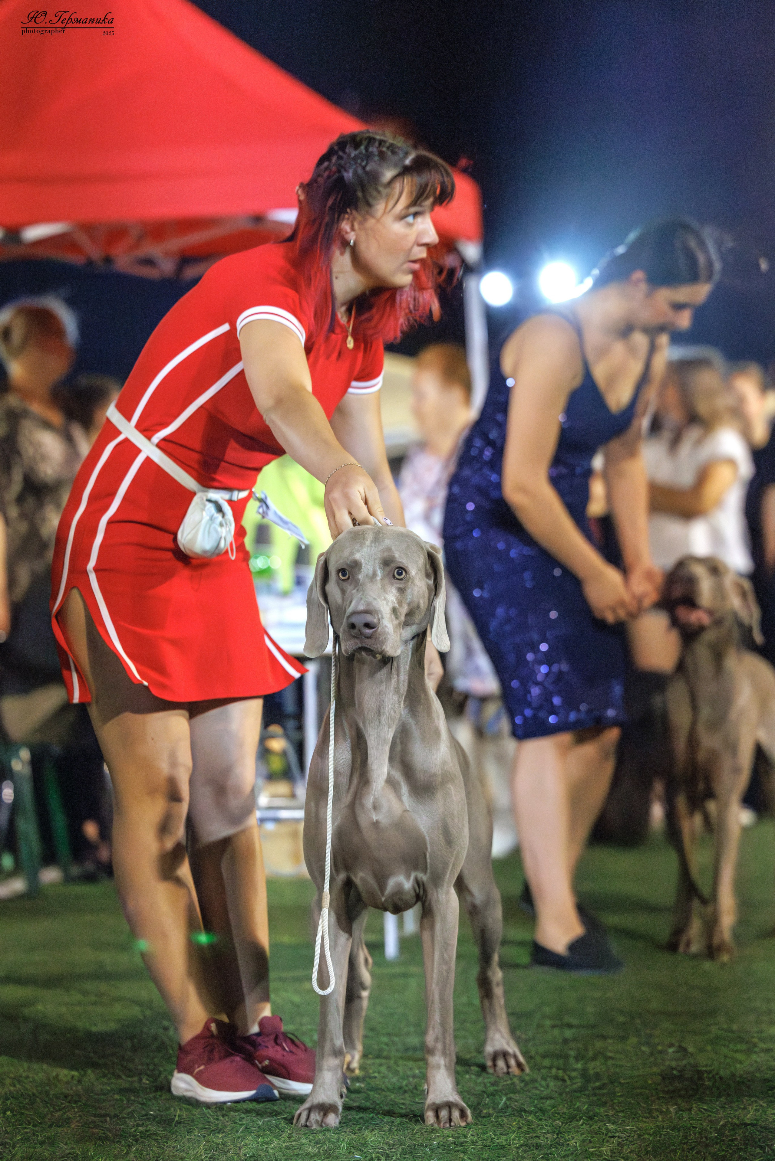 Калининград 25-27.07 Волгоград 1-3.08 2025. Фотограф-анималист Юлия Германика
