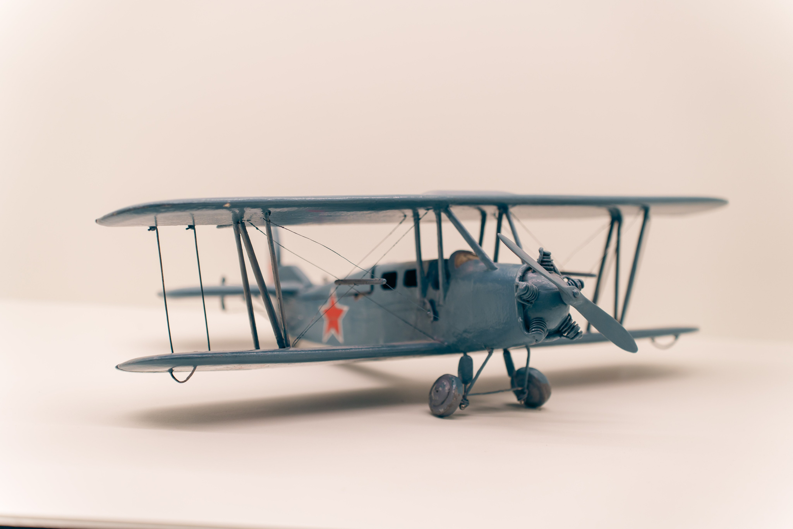 Выставка Великая страна — великая победа. Фотограф в Санкт-Петербурге Ибрагимова Алина