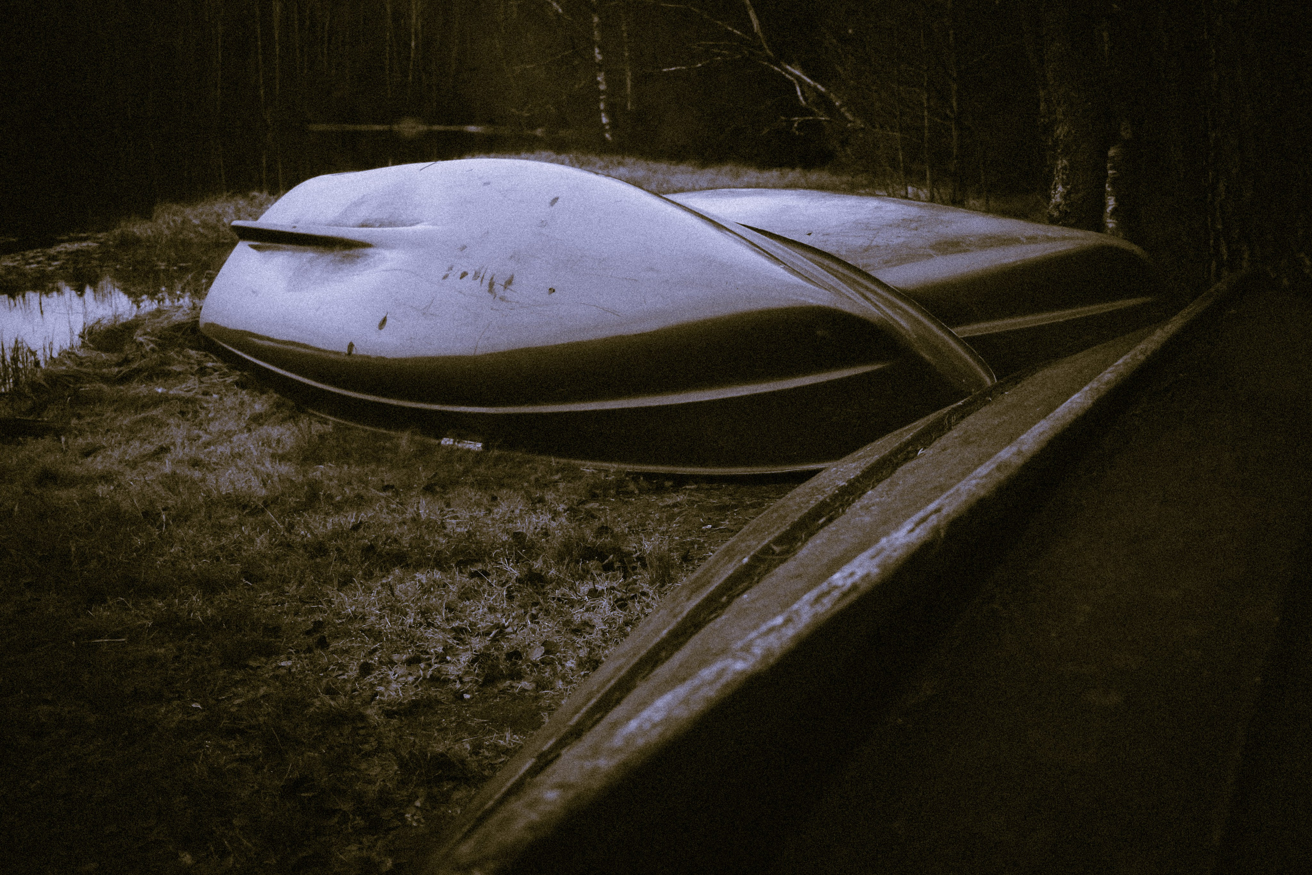 Лес и абстрактность. Портретный фотограф DanilNabody