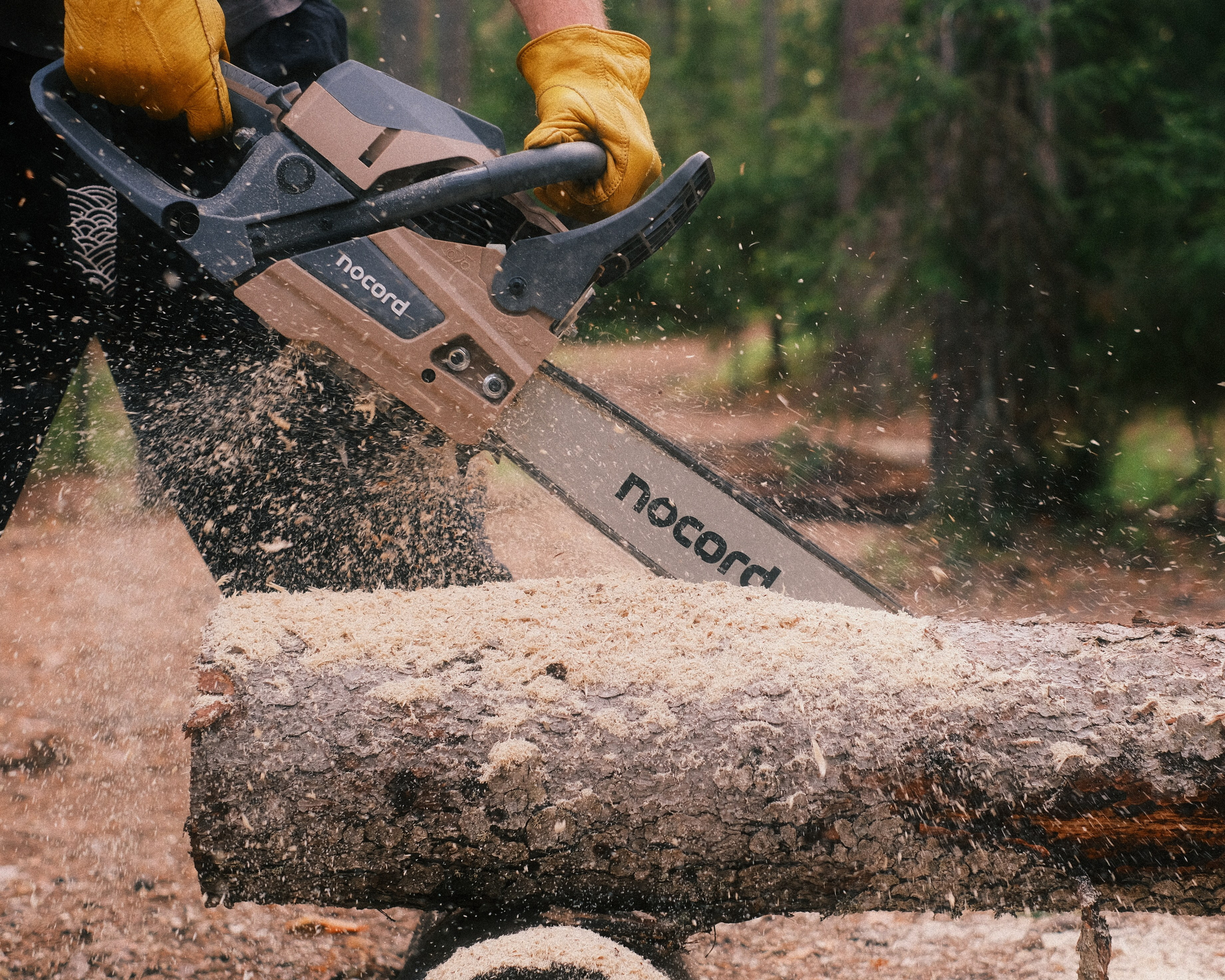 Орехово | май 2025