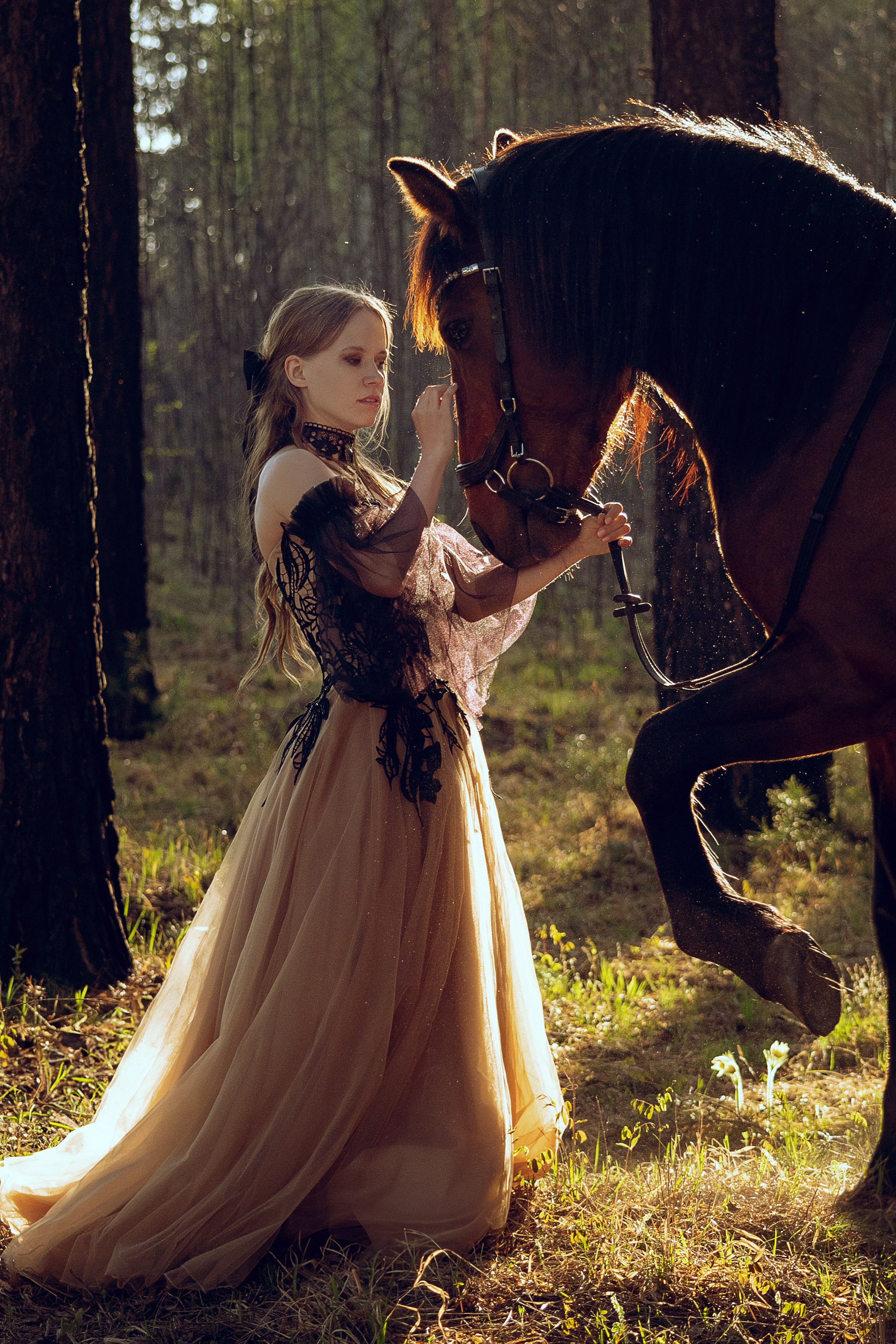 Съемка с лошадью Иркутск Иркутская область. Сайт фотографа Елены Коноваловой Иркутск