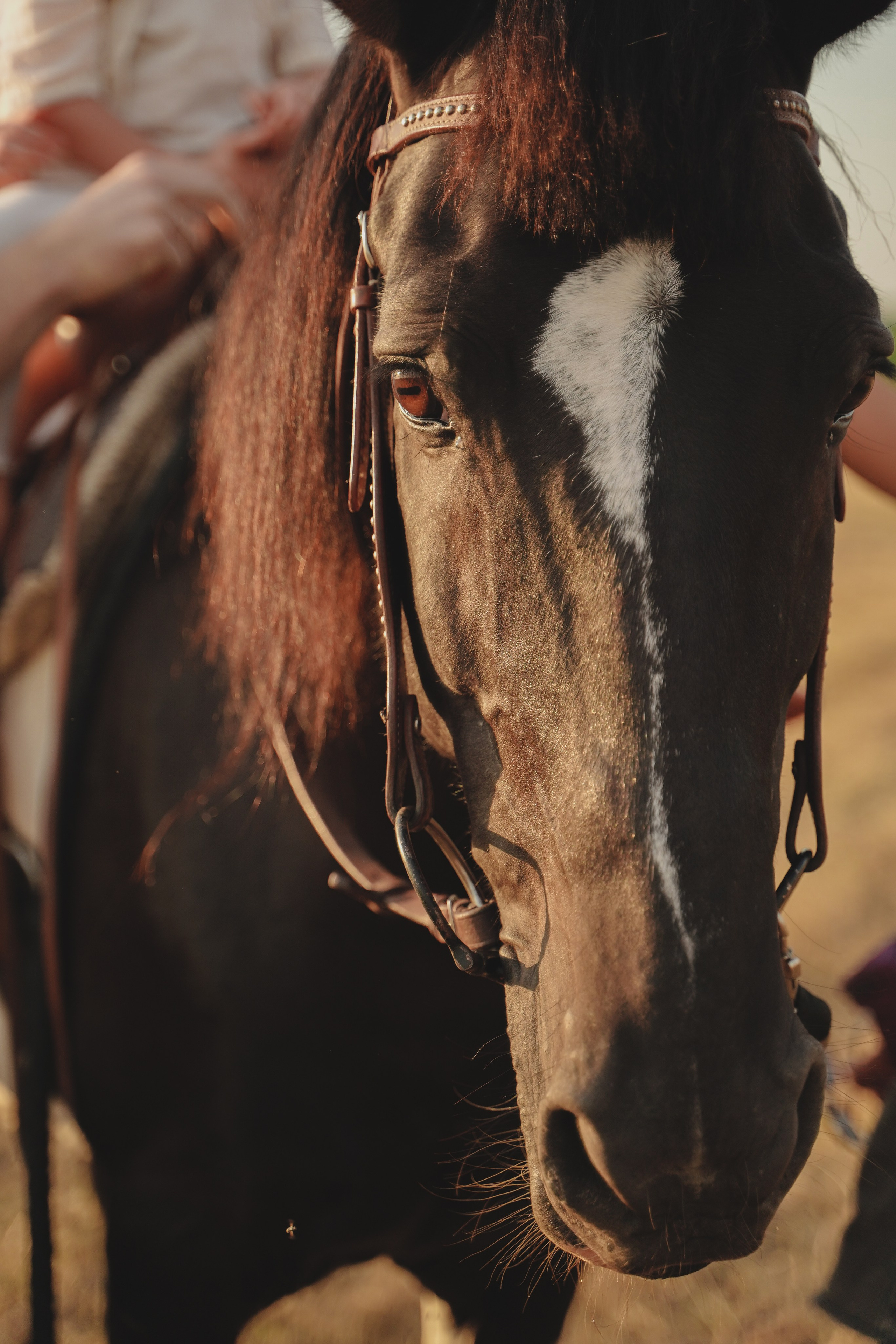 Выездная фотосессия. Семейный и женский фотограф в Краснодаре Анастасия Приймак