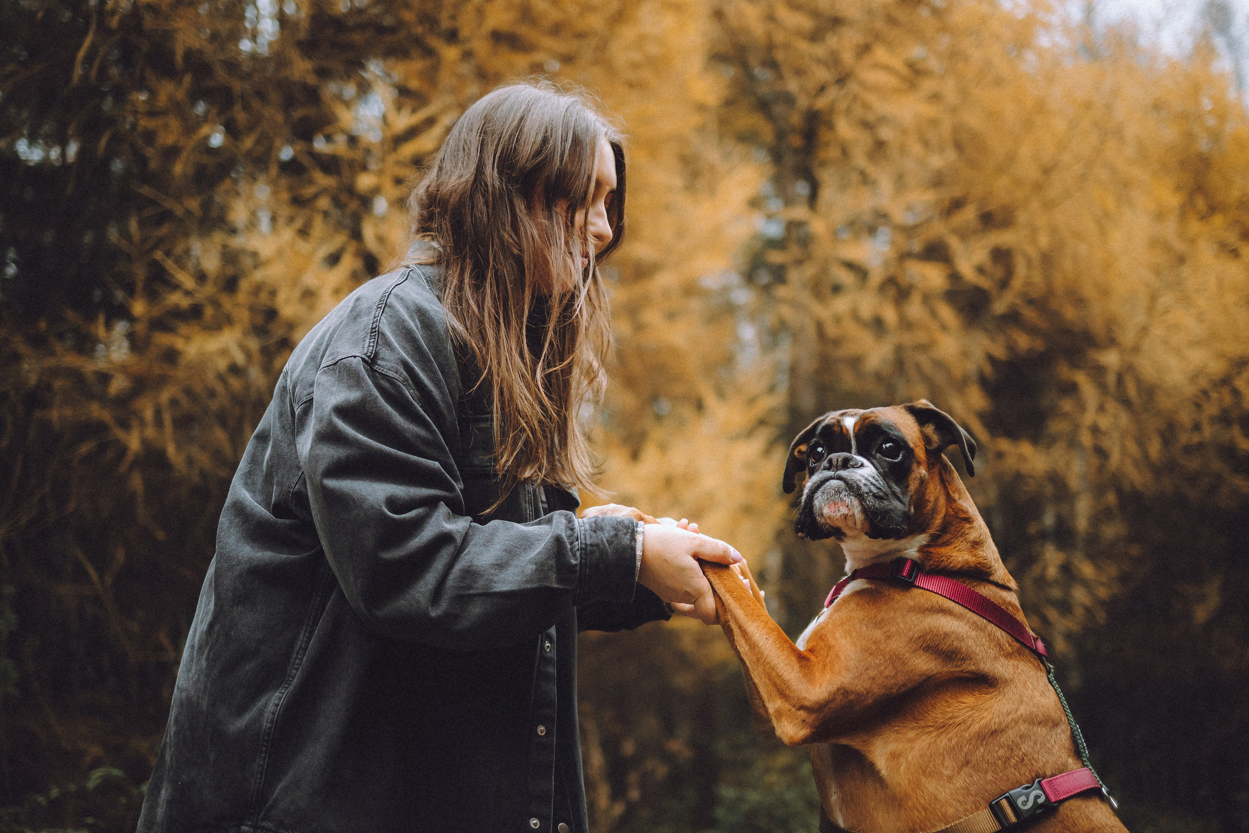 Элли и ее семья