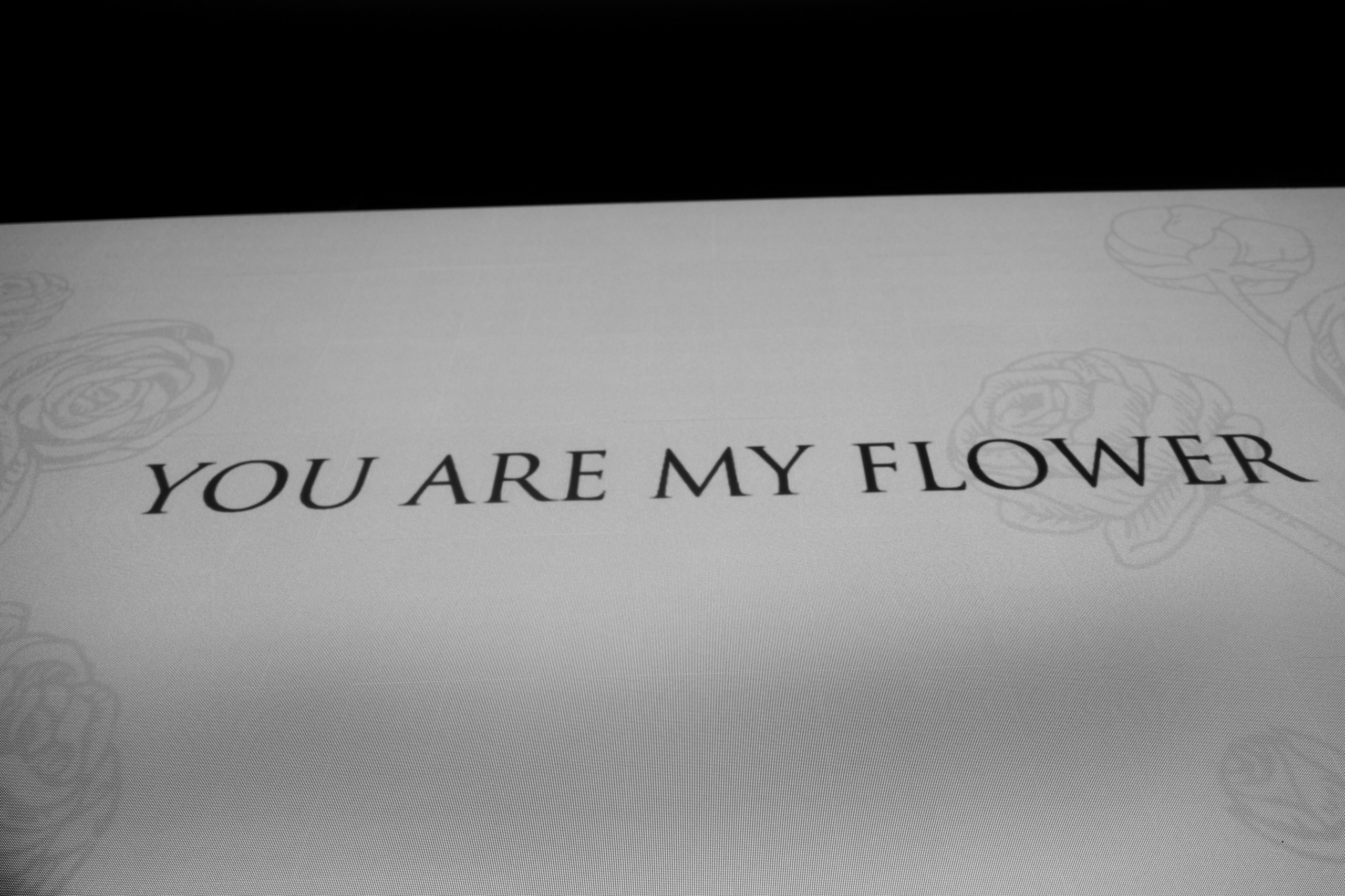 Анна & Андрей. Yura Rush Свадебный фотограф Тюмень