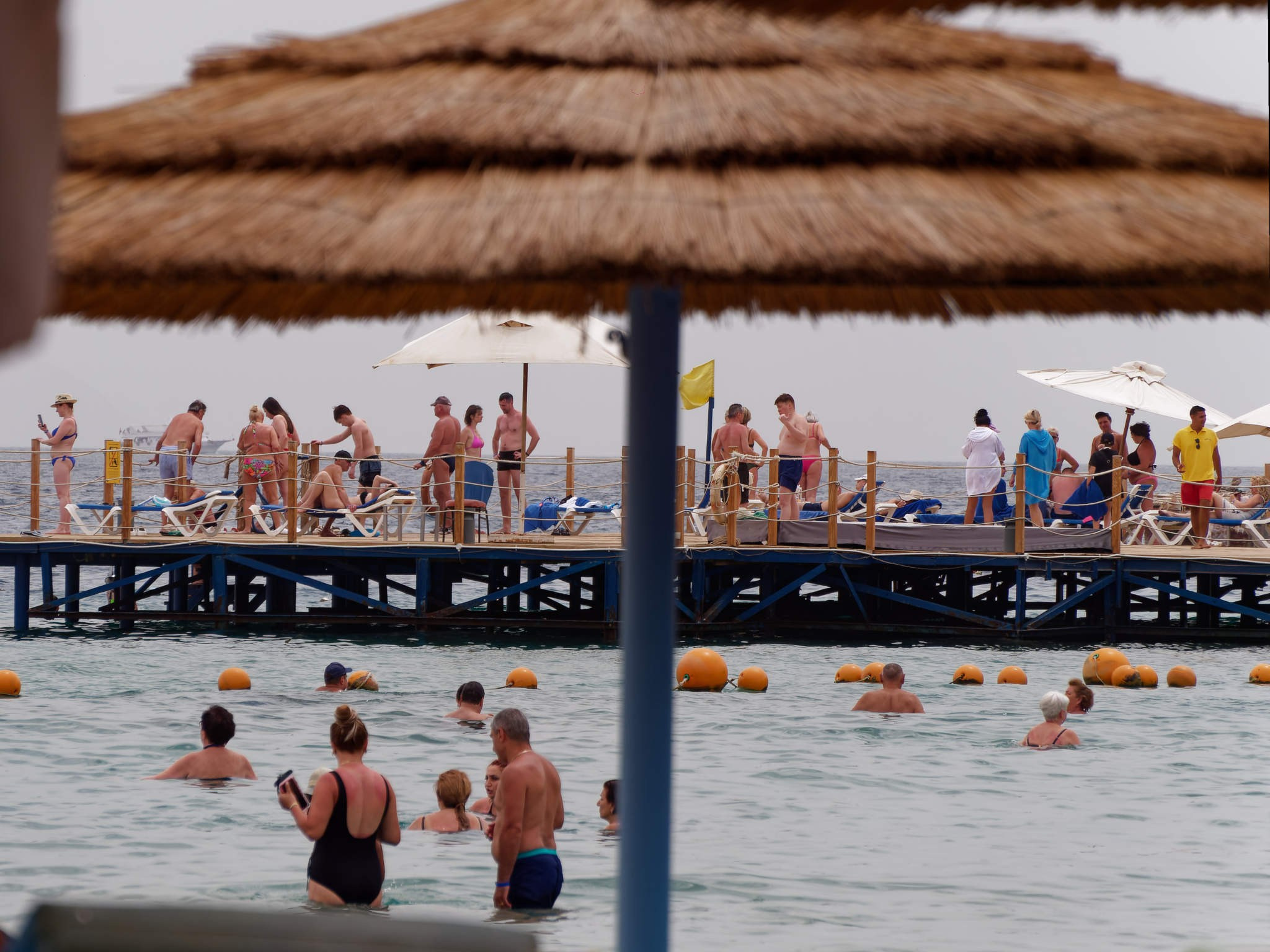 Шарм-эль-Шейх 2024. Избранные фотографии