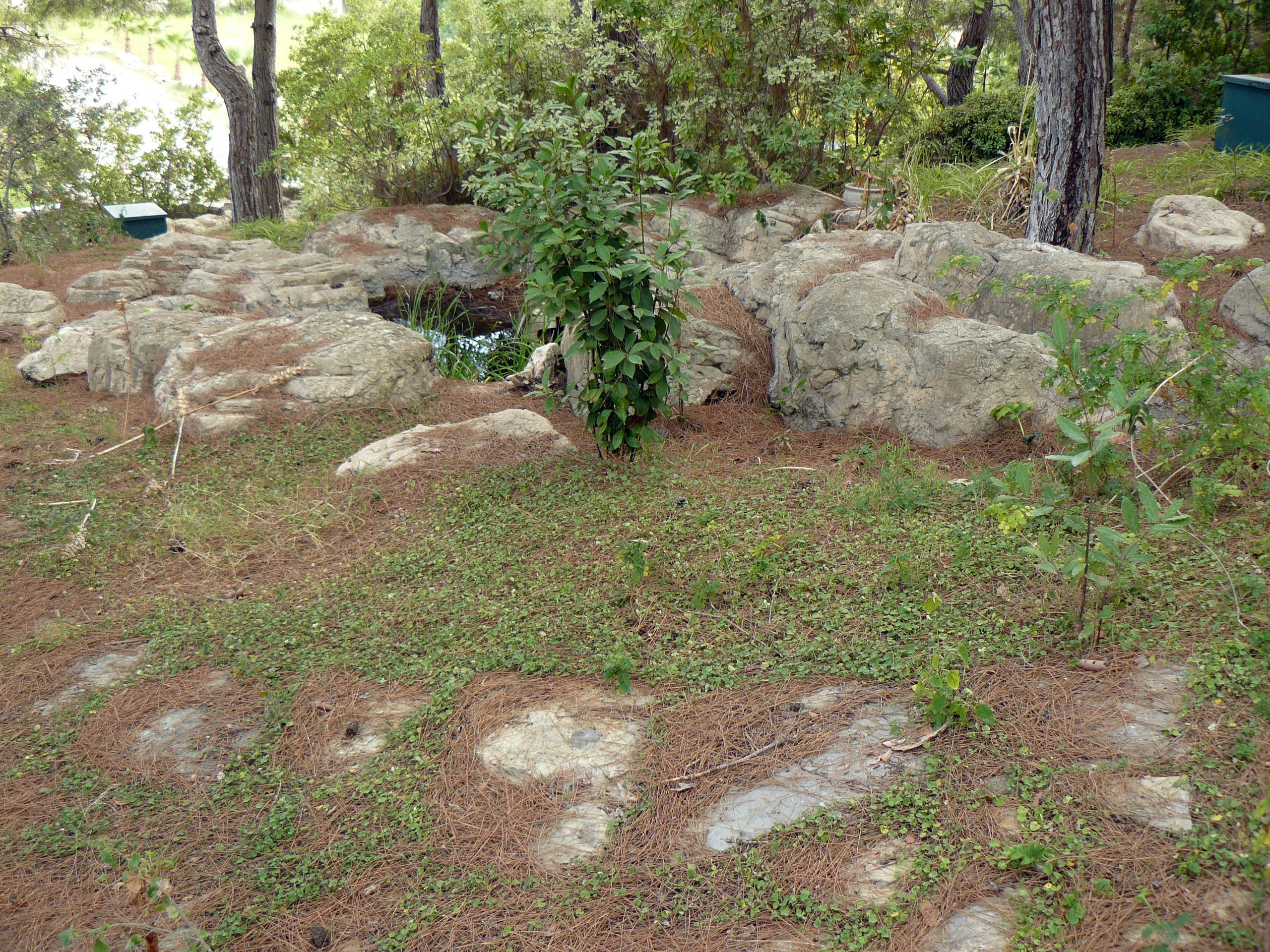 Кемер, Чамьюва 2008. Избранные фотографии