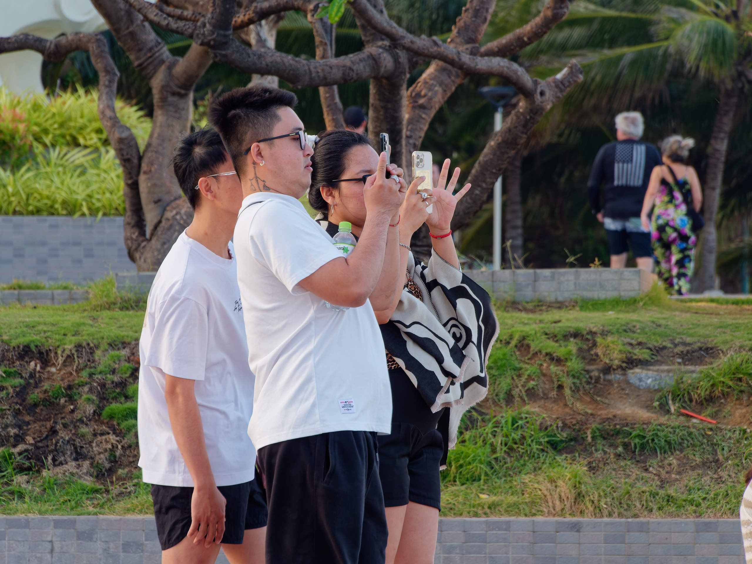 Нячанг 2025 (1). Избранные фотографии