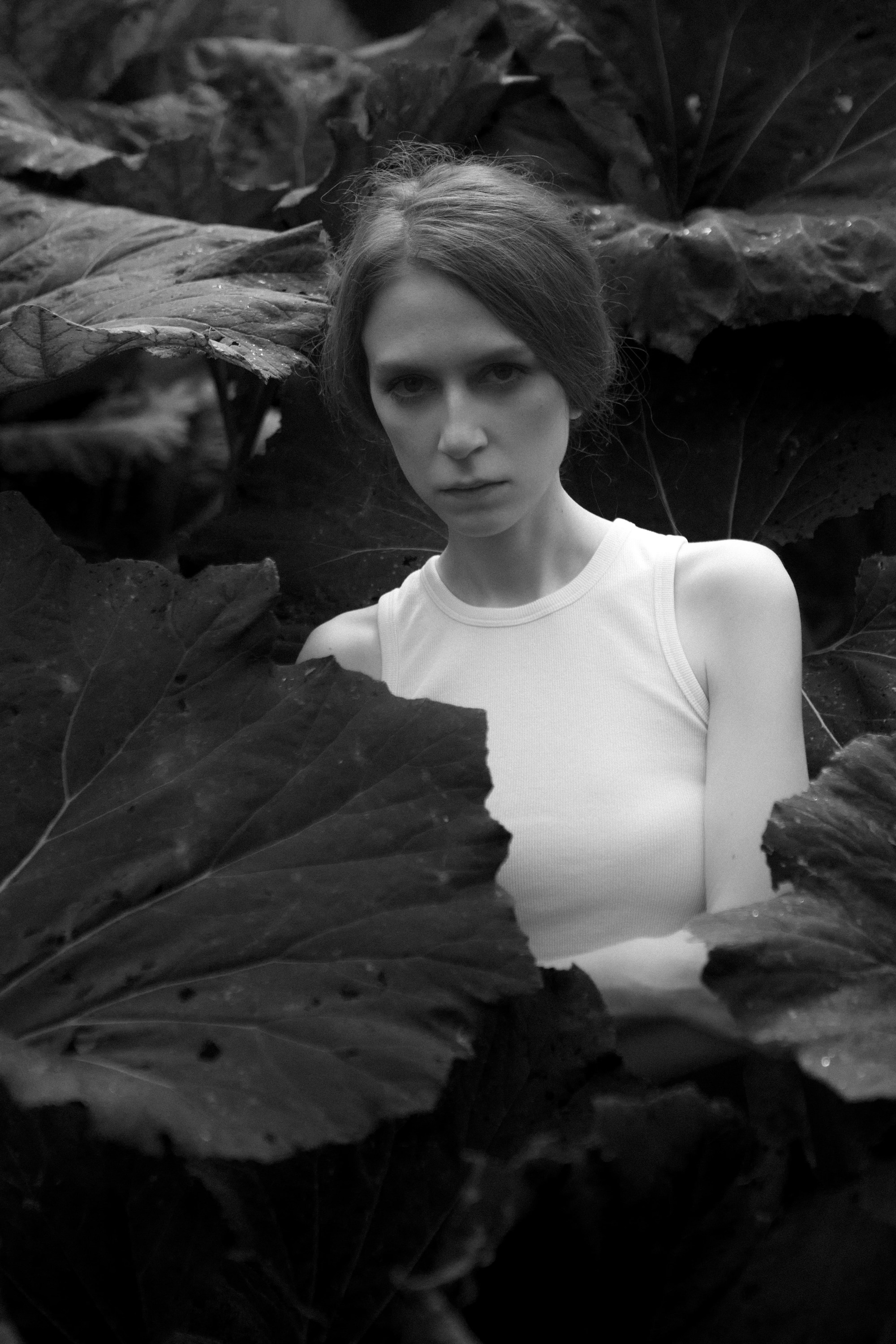 Коммерция и модельные тесты