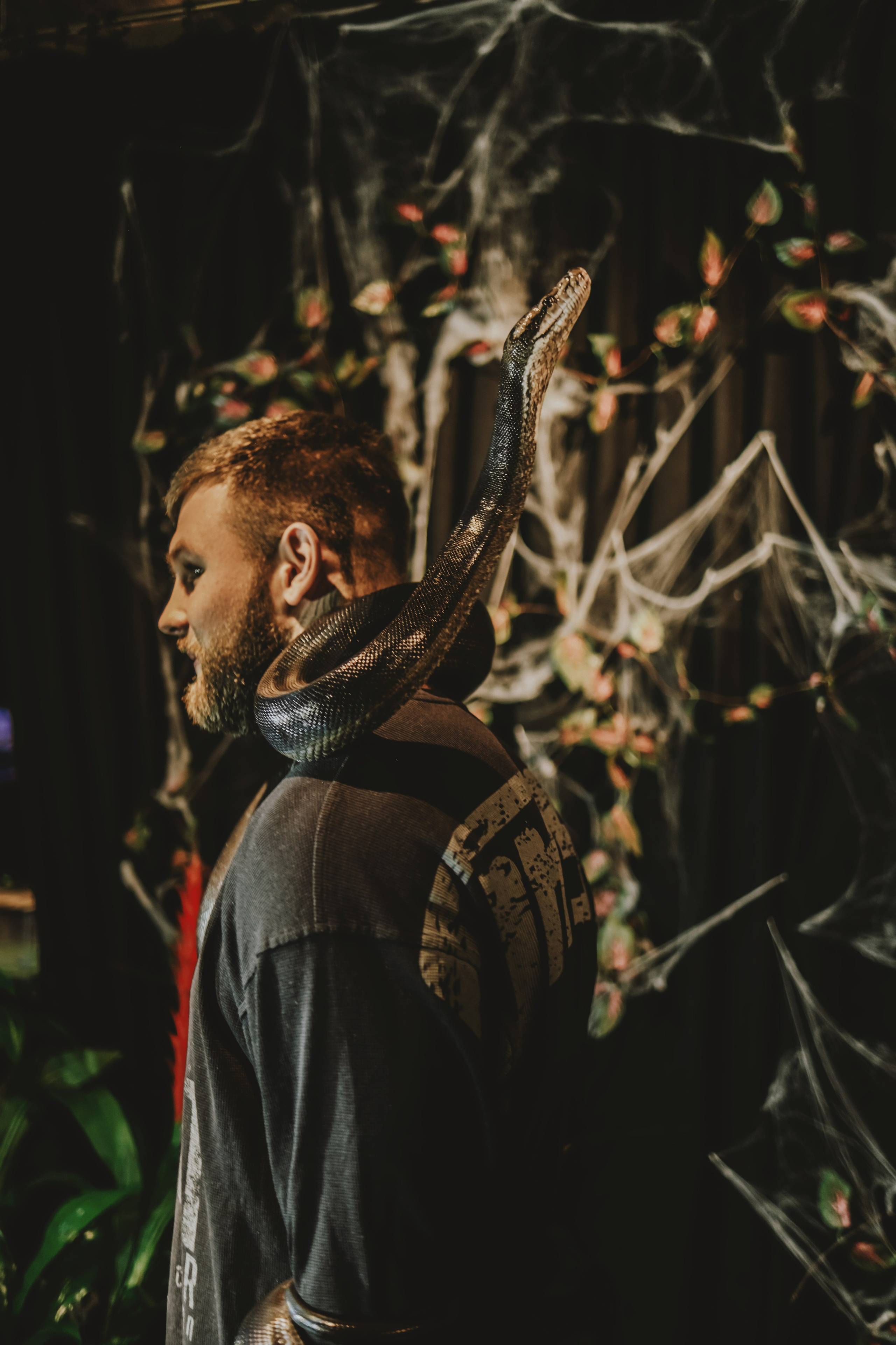 Дом Драконов. Nattie.ph