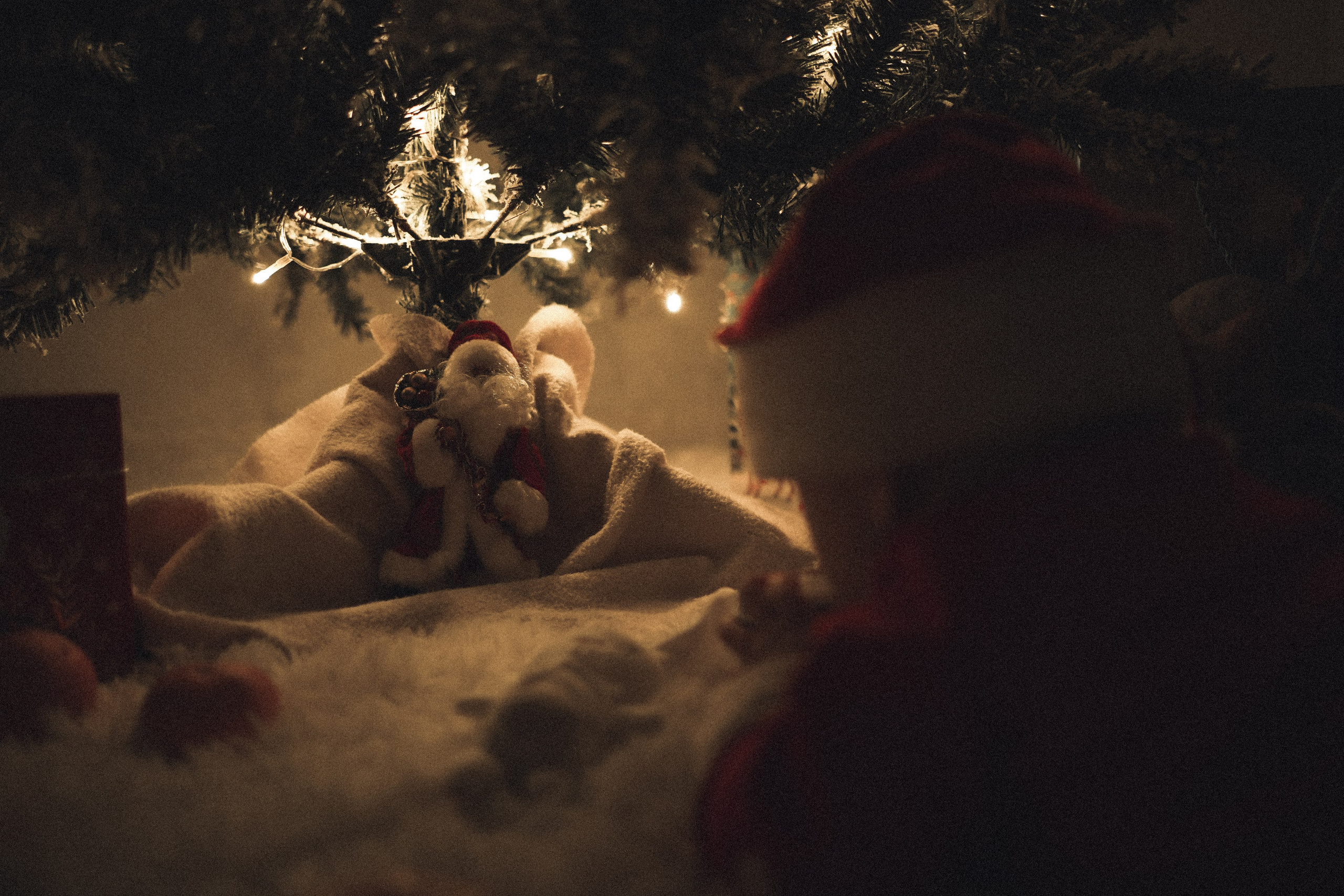 Ксения, Степан и Егор. Предновогоднее. Свадебный фотограф Копков Геннадий