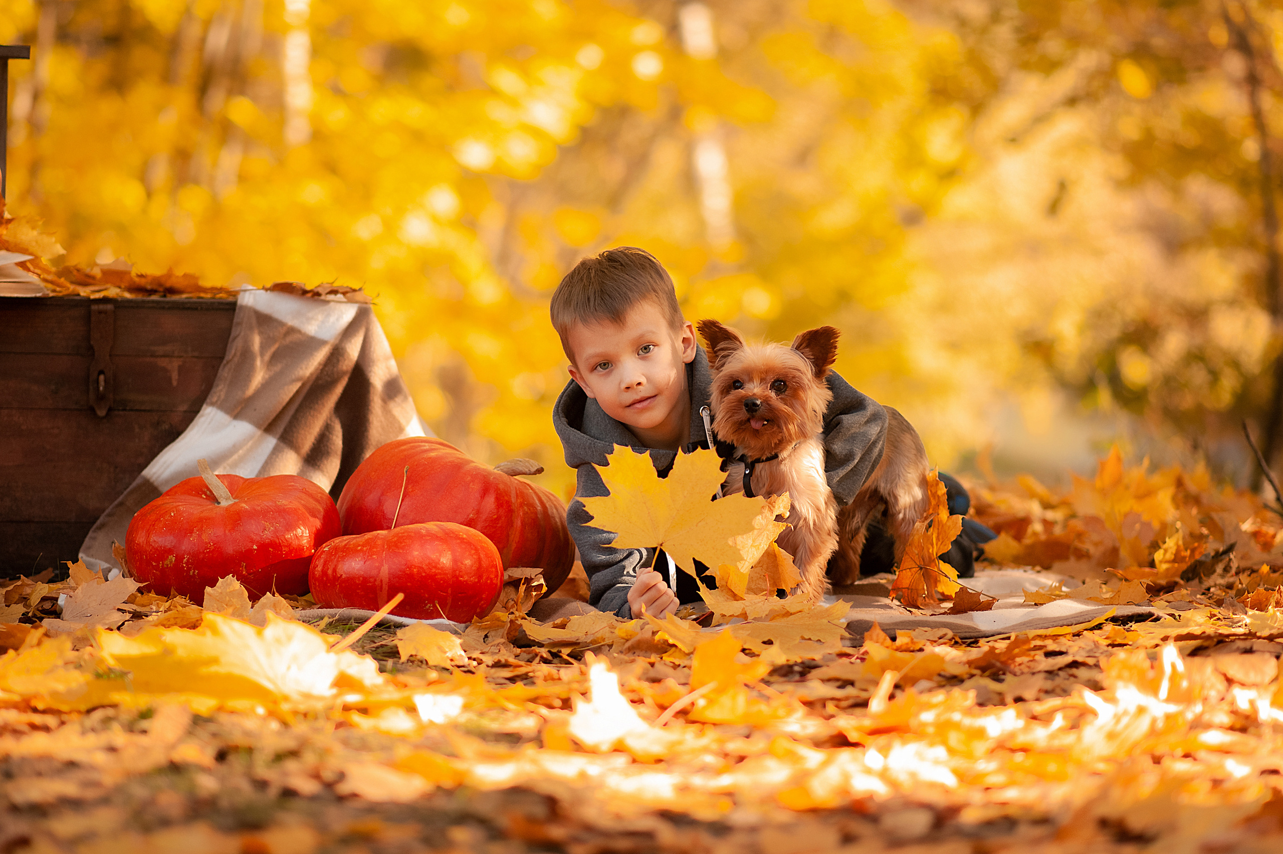Фотопроект лейпциг