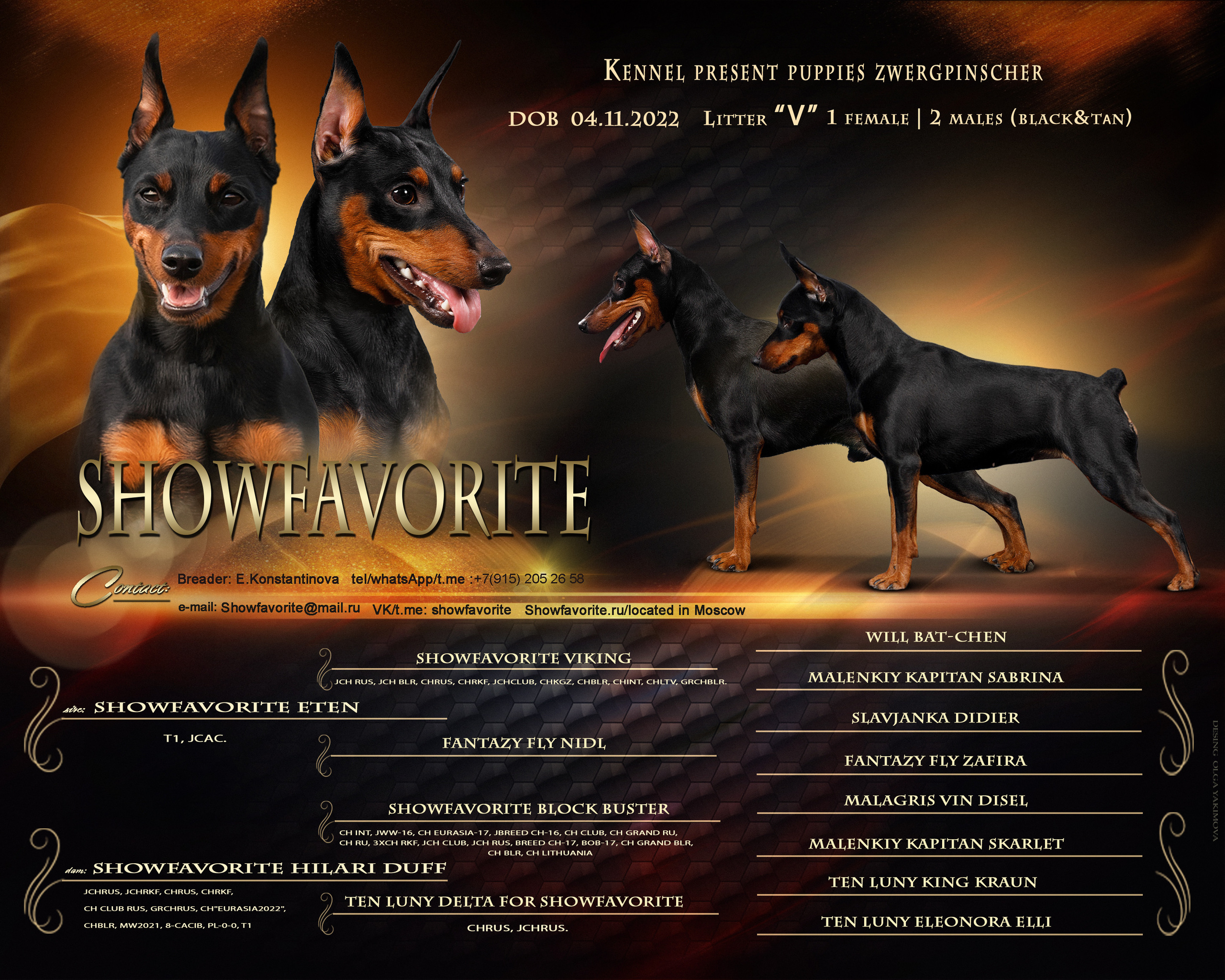 Animal presentation. Фотограф