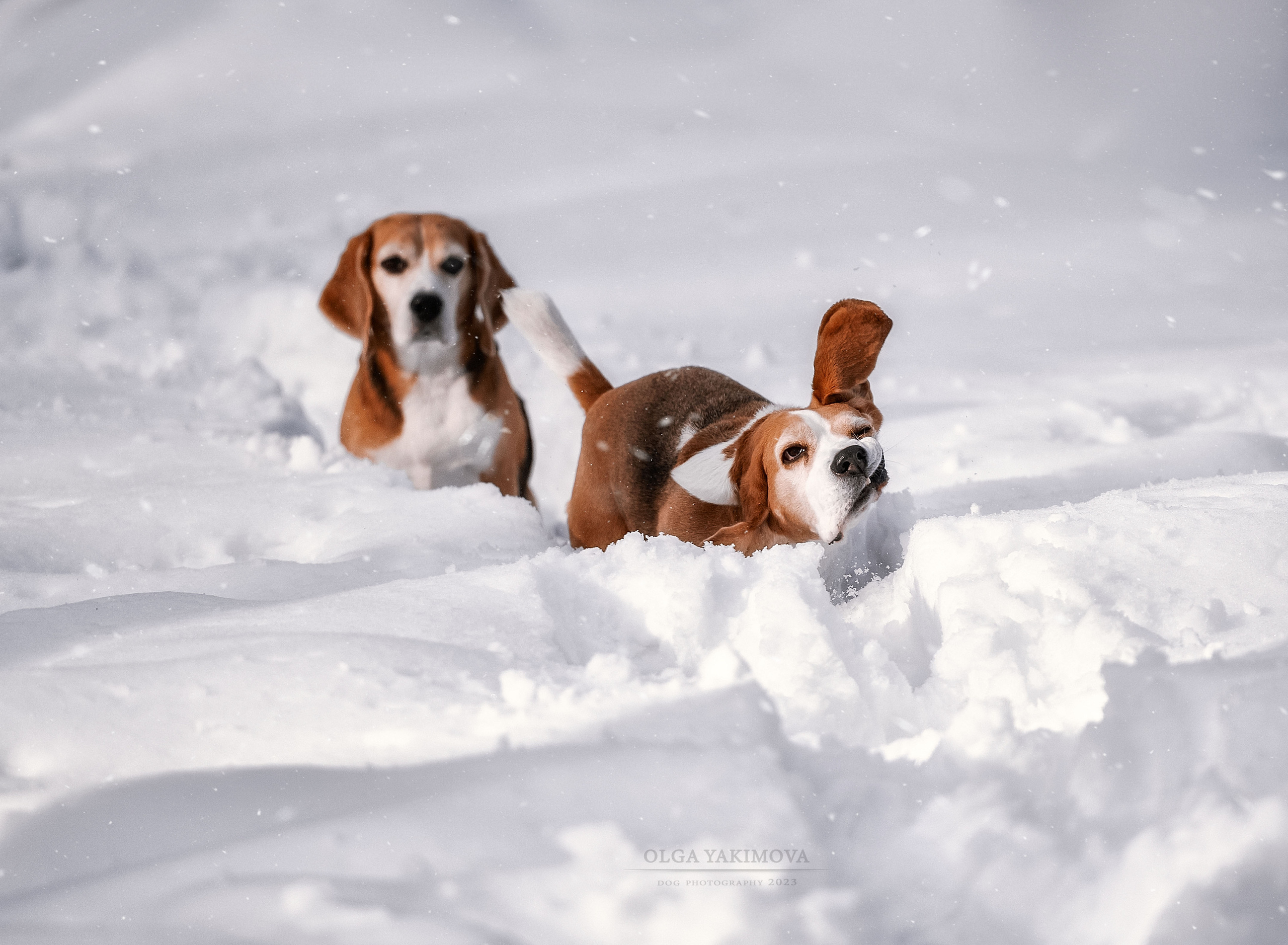 Анна. Фотограф