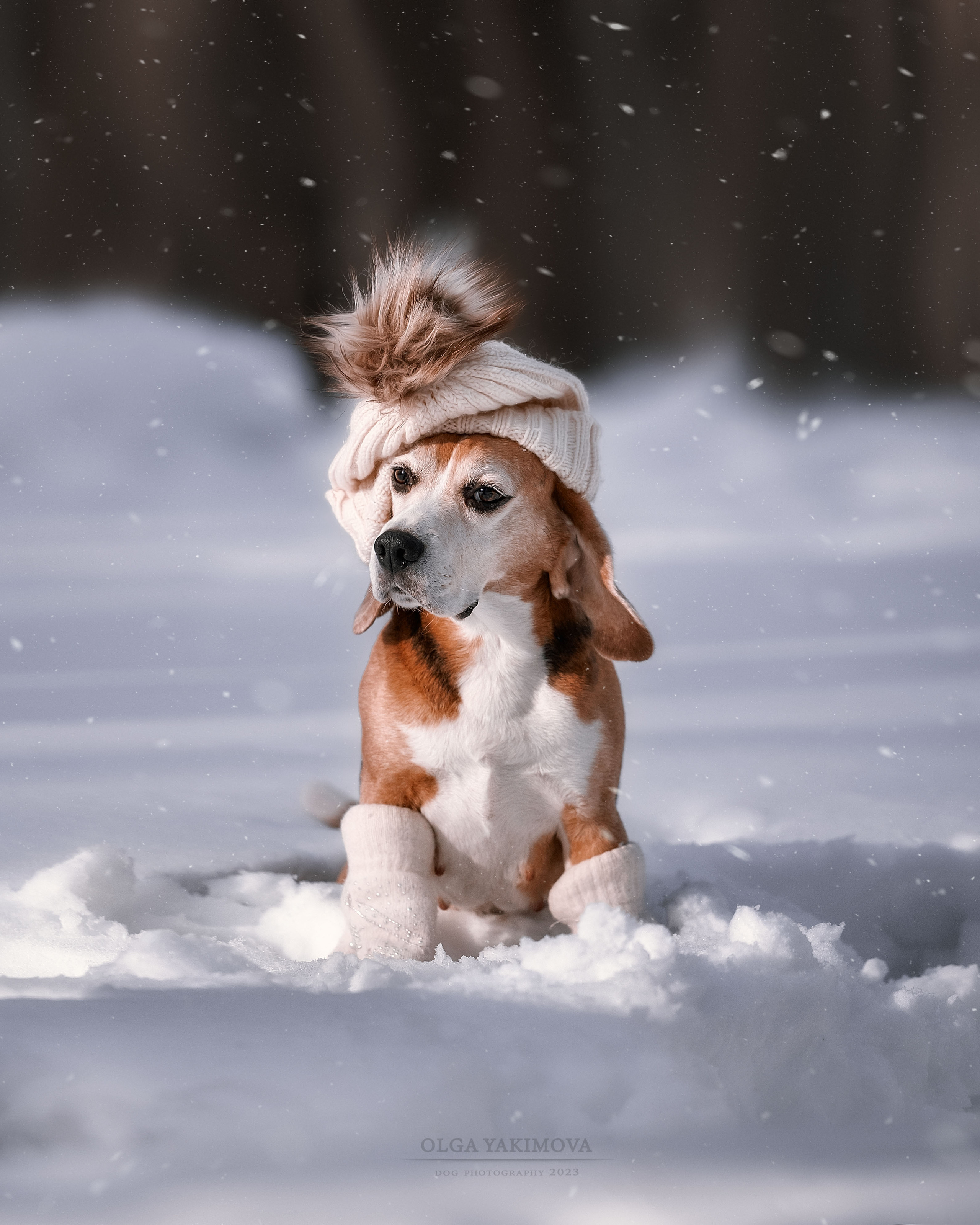 Анна. Фотограф