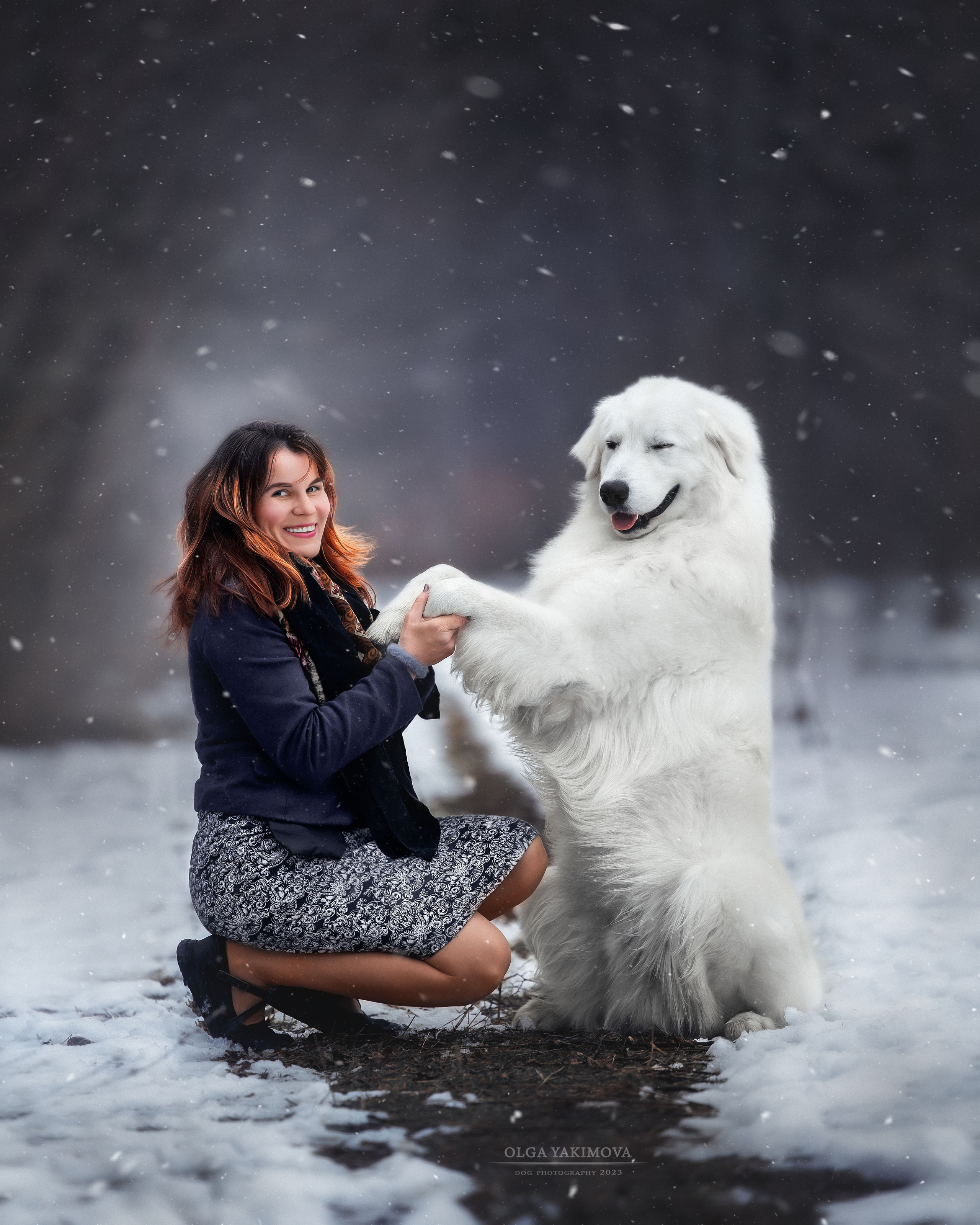 Экстерьер. Фотограф