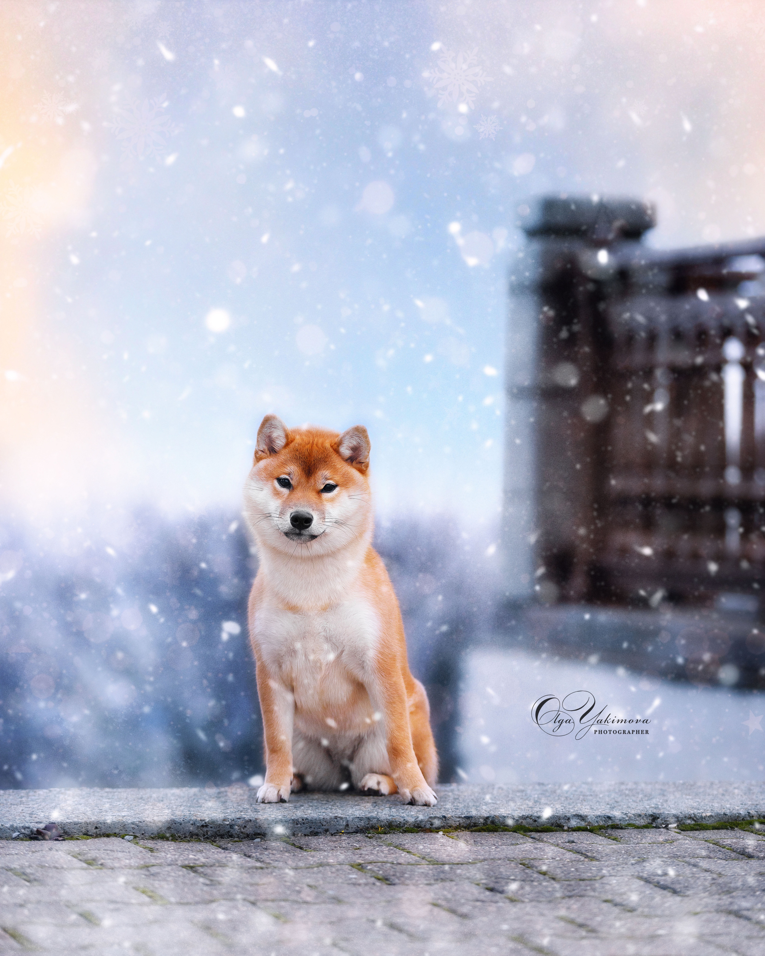 Экстерьер. Фотограф