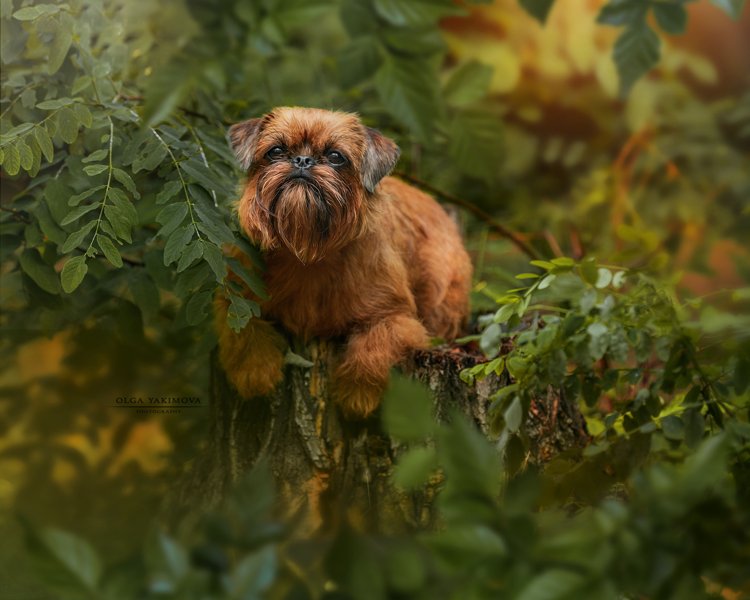 Экстерьер. Фотограф